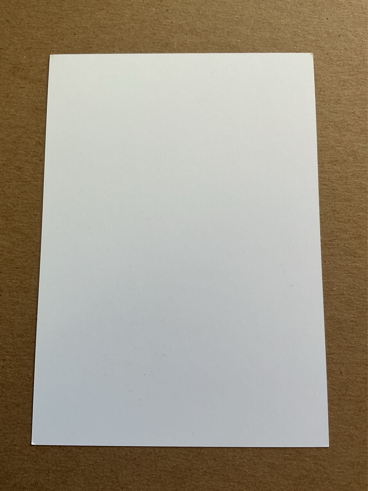 Paulo Gazzinga, Argentina 🇦🇷 Tottenham Hotspur 2017/18 hand signed