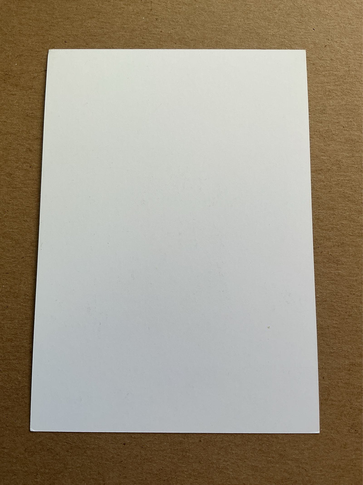 Miguel D’Agostino, Argentina 🇦🇷 Tottenham Hotspur 2017/18 hand signed