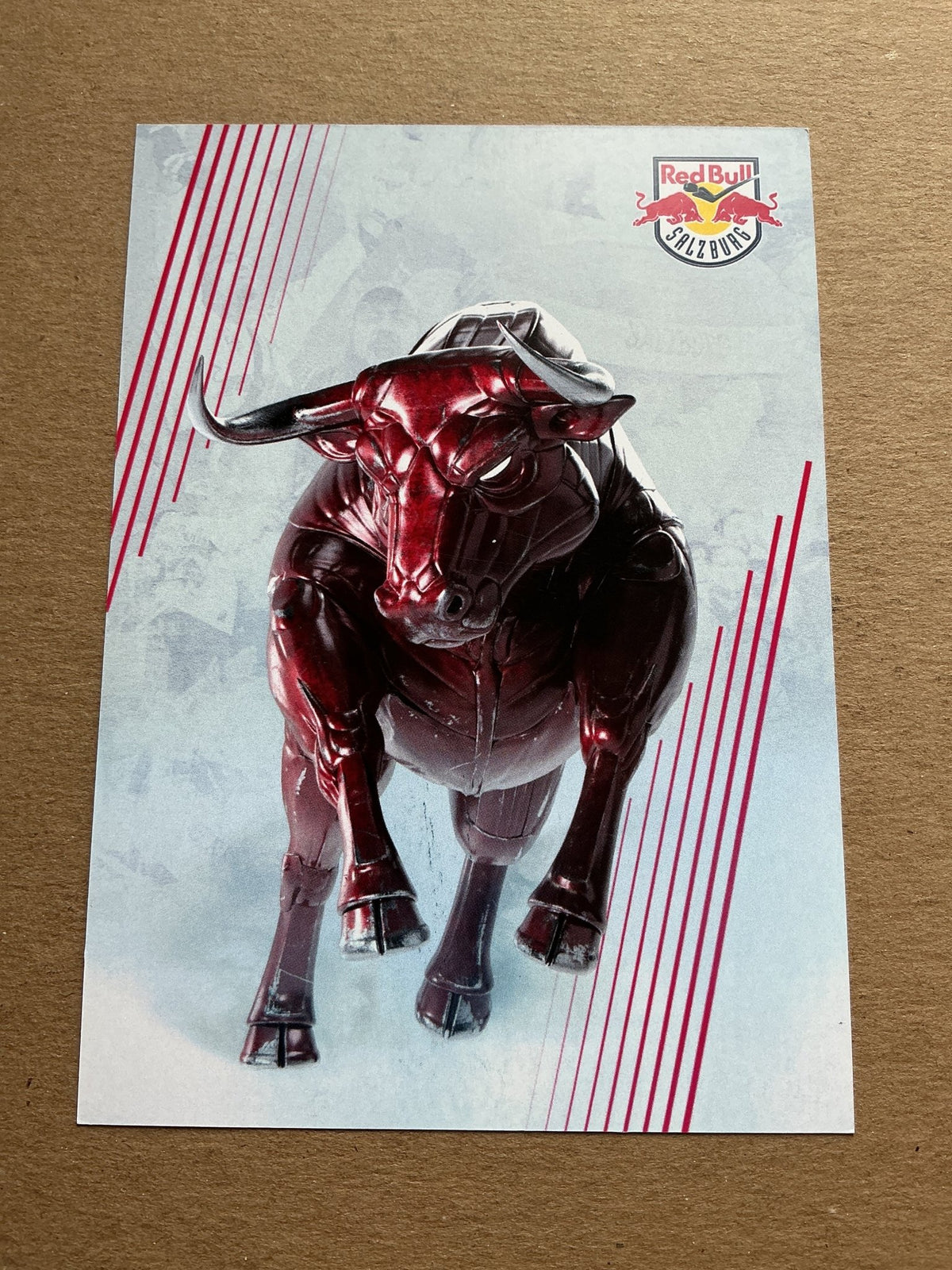 Ali Wukovits, Austria 🇦🇹 EC Red Bull Salzburg 2023/24 hand signed - Autographs-World