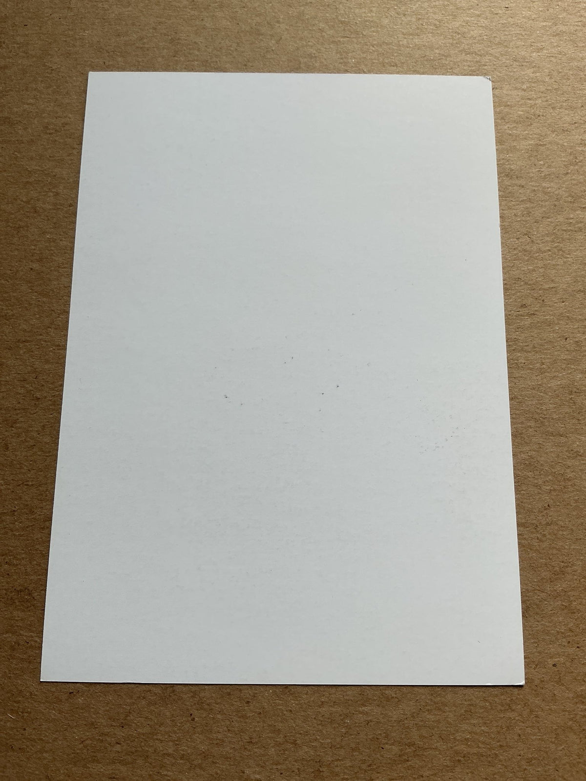 Charles De Ketelaere, Belgium 🇧🇪 Club Brugge 2021/22 hand signed - Autographs-World
