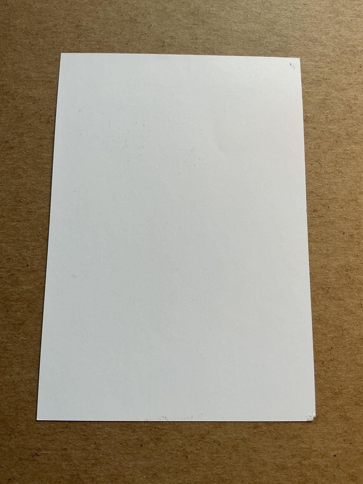 Dávid Horváth, Hungary 🇭🇺 MTK Budapest FC 2023/24 hand signed - Autographs-World