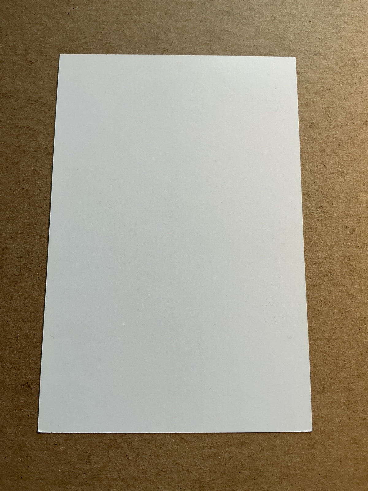 Dodi Lukébakio, Belgium 🇧🇪 Sevilla FC 2024/25 hand signed - Autographs-World