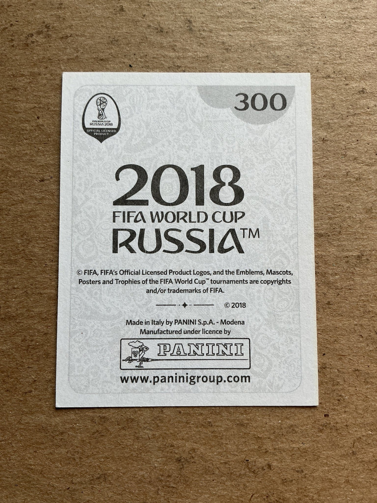 Hordur Magnusson, Iceland 🇮🇸 FIFA World Cup 2018 Panini hand signed - Autographs-World