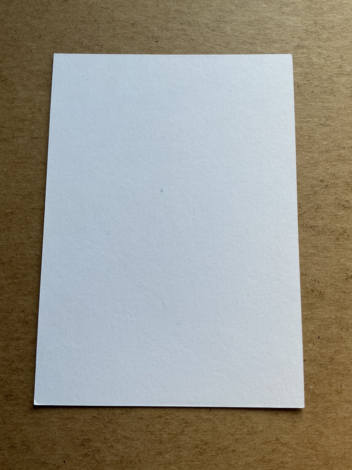 Jens Stage, Denmark 🇩🇰 FC Copenhagen 2019/20 hand signed