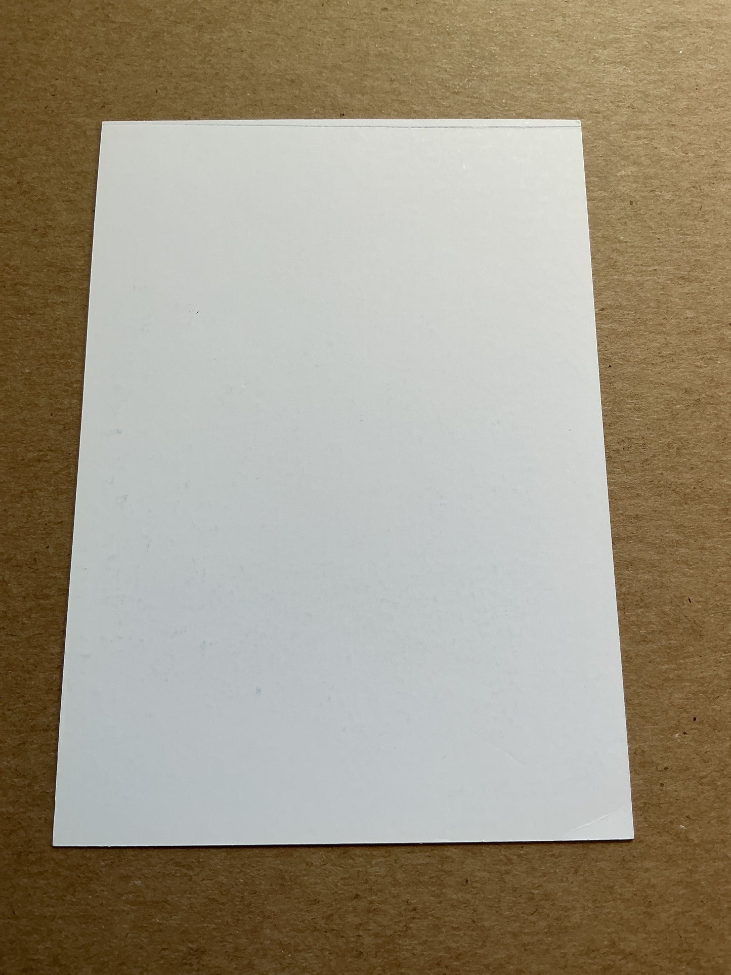 Sean Dyche, England 🏴 Burnley FC 2018/19 hand signed