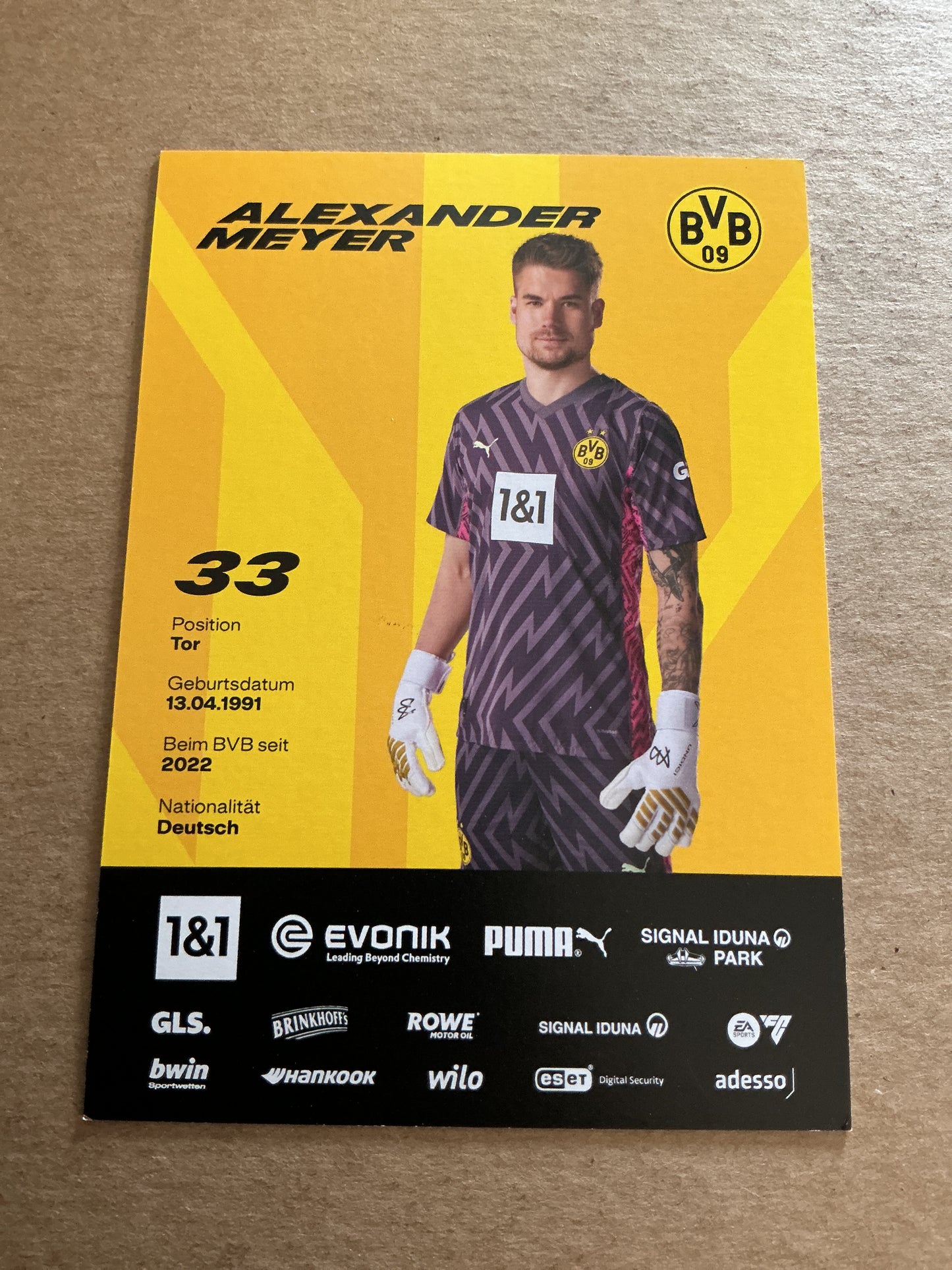 Alexander Meyer, Germany 🇩🇪 Borussia Dortmund 2023/24 hand signed