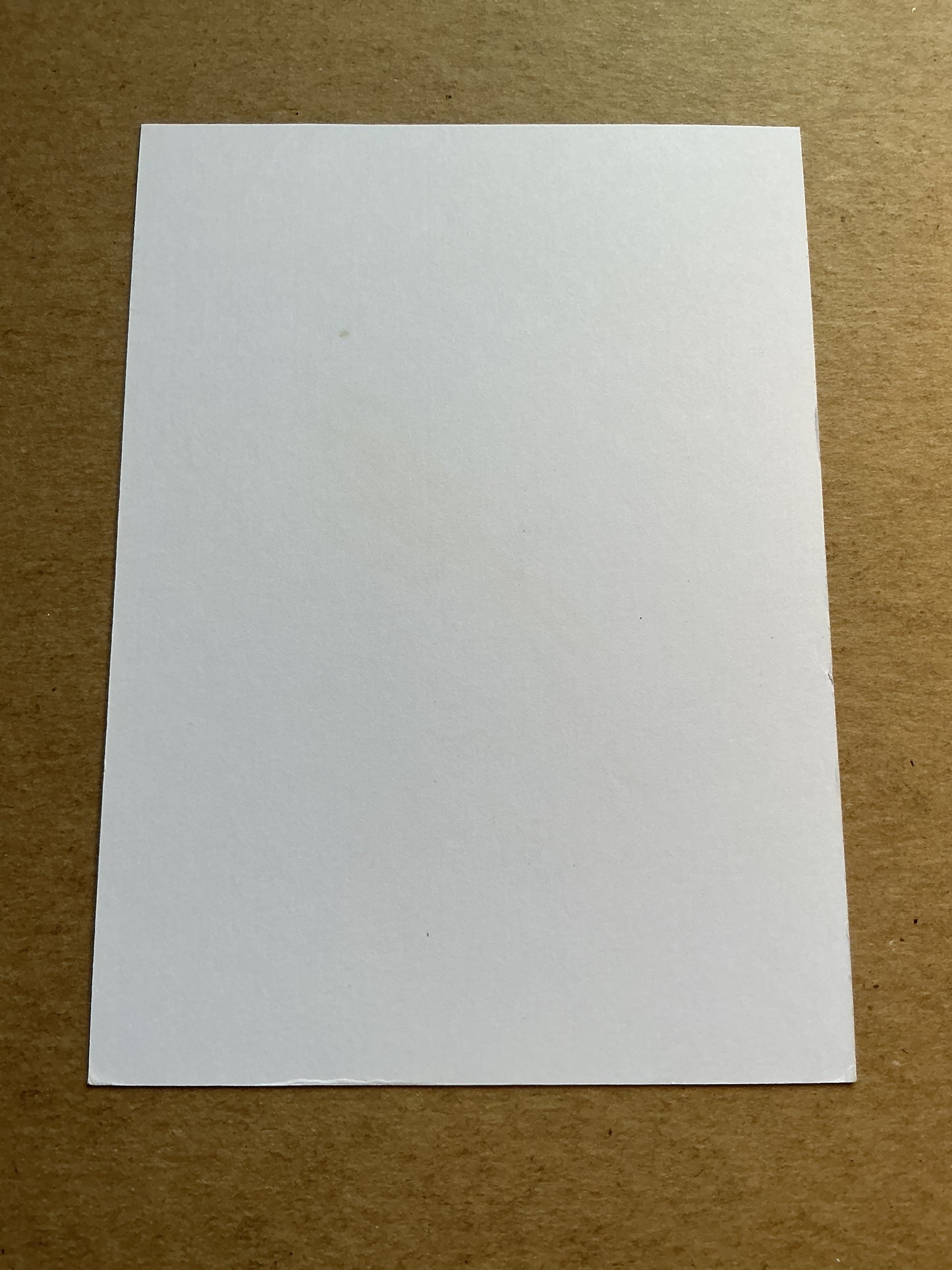 Hwang Hee-chan, South Korea 🇰🇷 Wolverhampton Wanderers 2022/23 hand signed