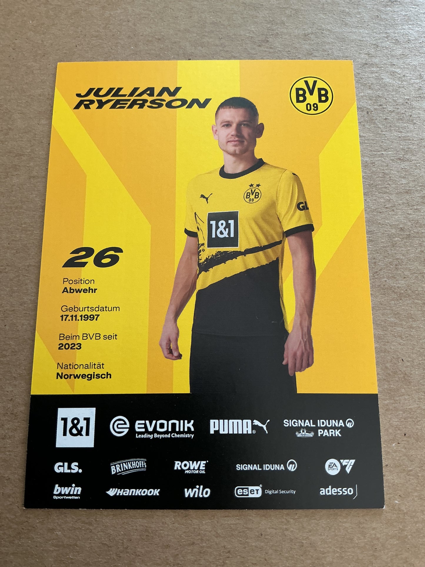 Julian Ryerson, Norway 🇳🇴 Borussia Dortmund 2023/24 hand signed