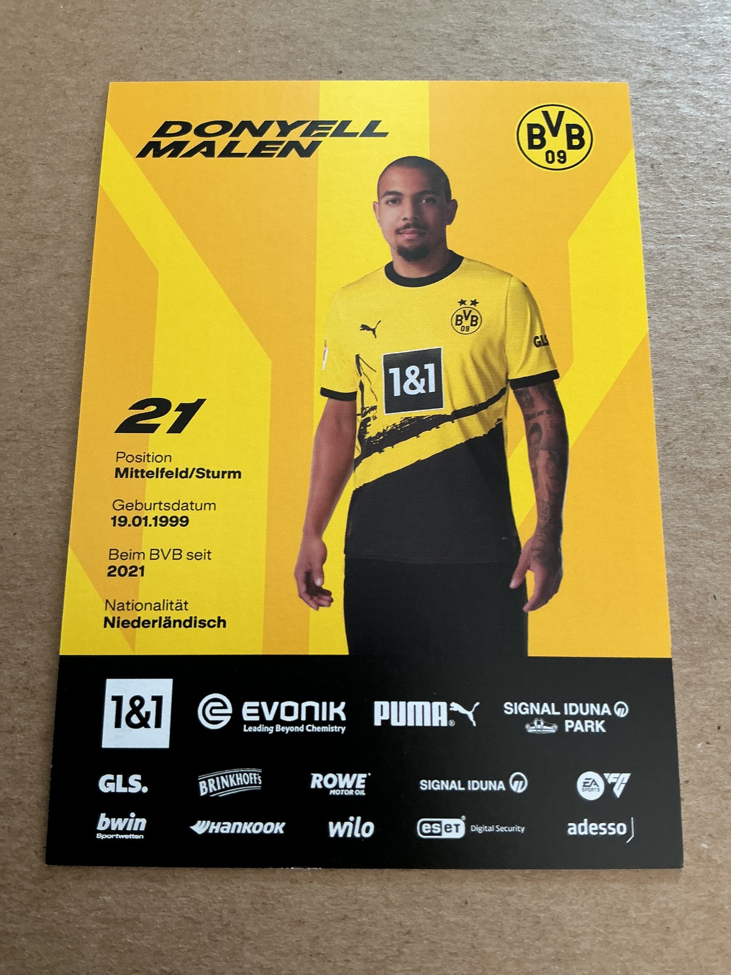 Donyell Malen, Netherlands 🇳🇱 Borussia Dortmund 2023/24 hand signed
