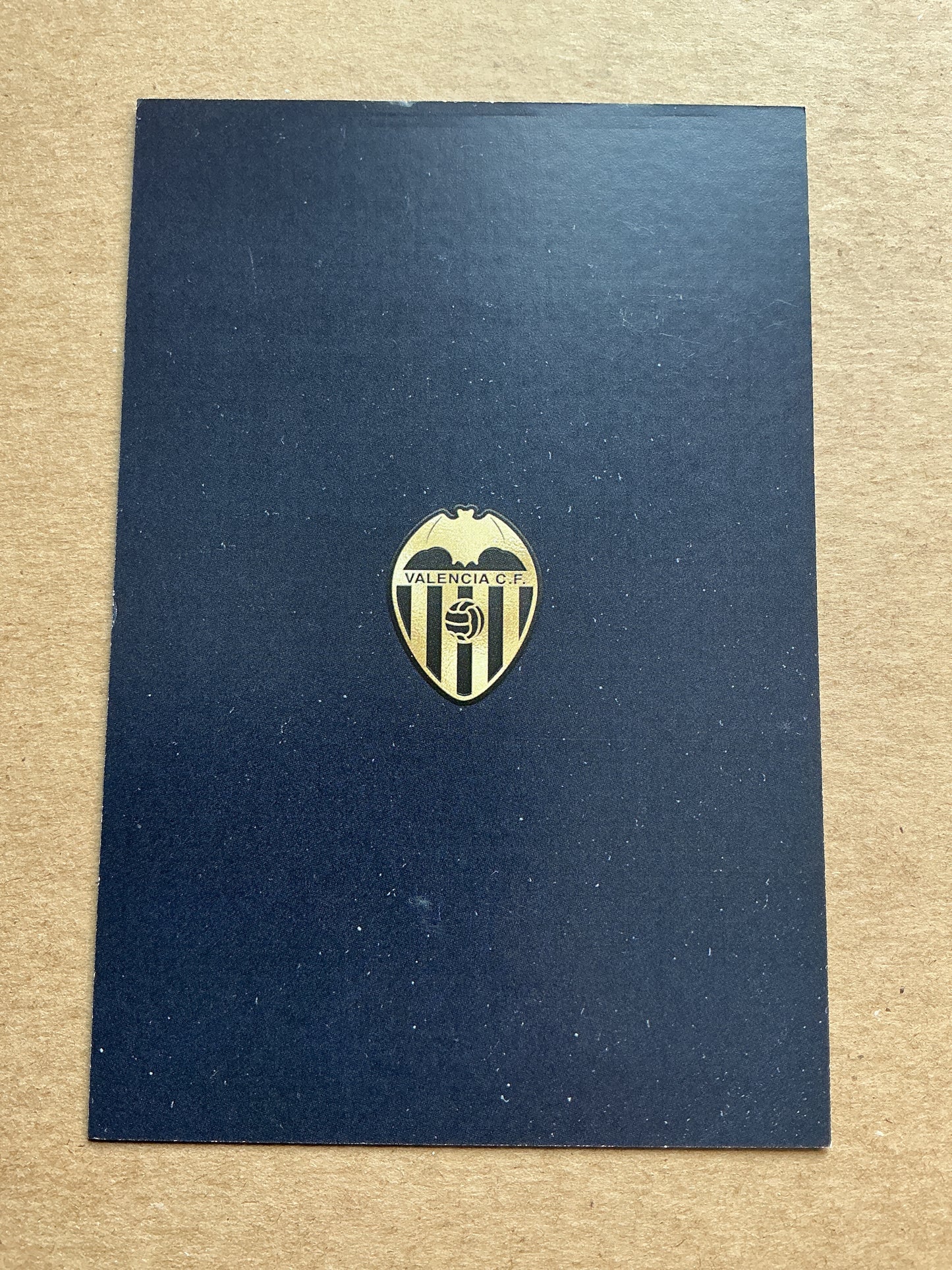 Giorgi Mamardashvili, Georgia 🇬🇪 Valencia CF 2024/25 hand signed