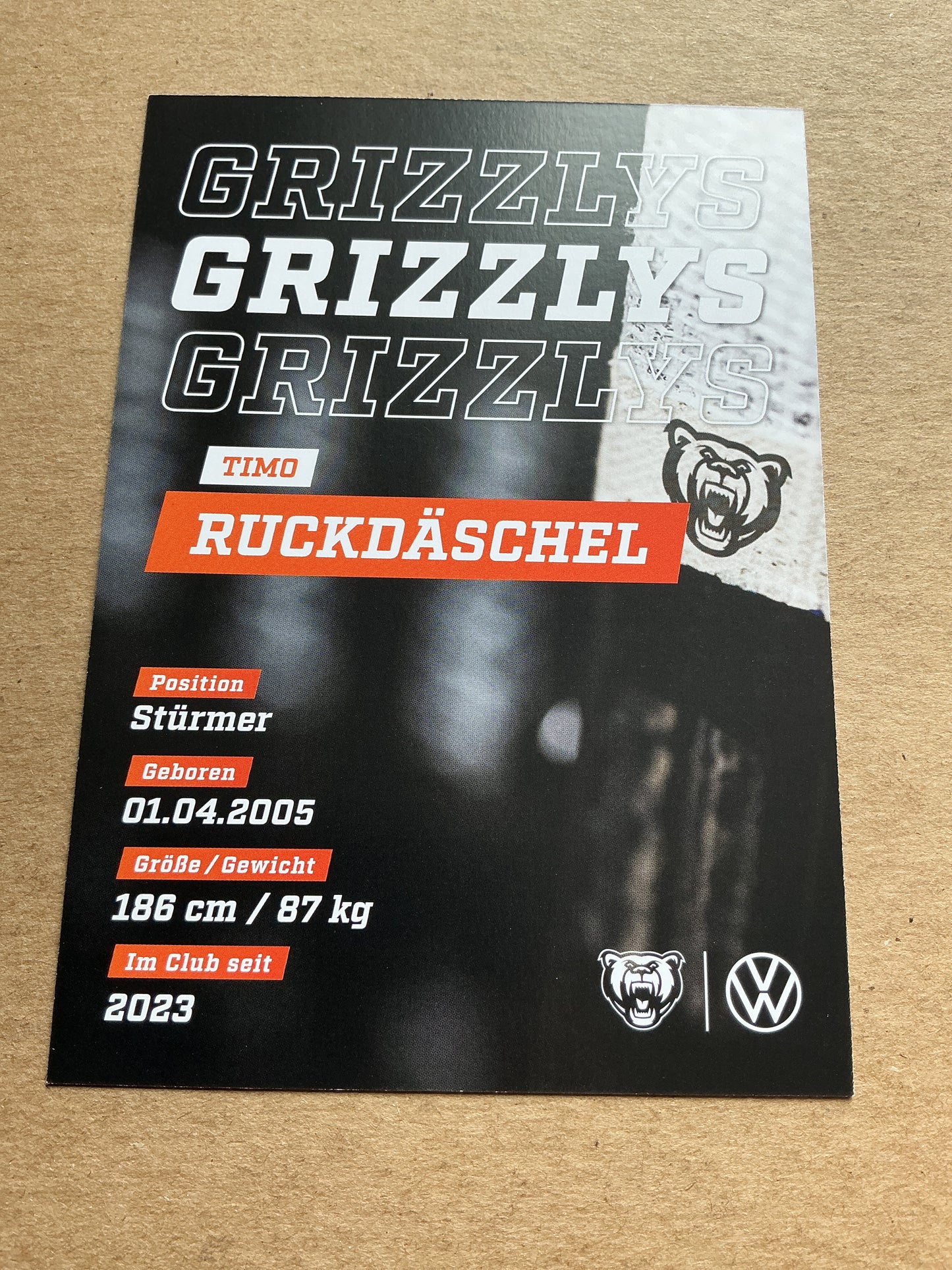Timo Ruckdäschel, Germany 🇩🇪 Grizzlys Wolfsburg 2024/25 hand signed