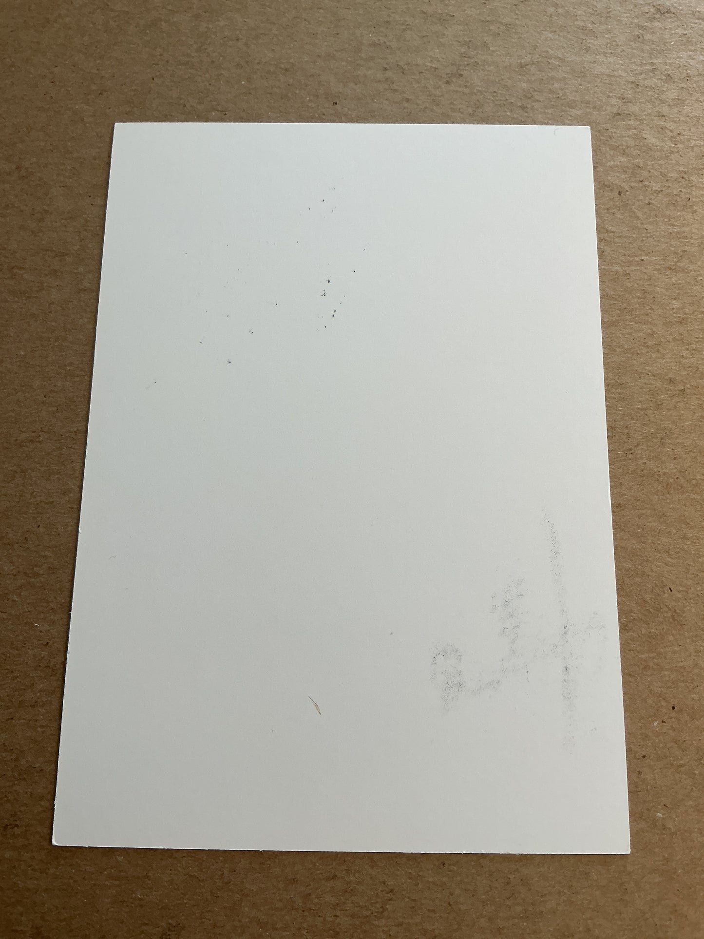 Thiago Mendes, Brazil 🇧🇷 Lille OSC 2018/19 hand signed