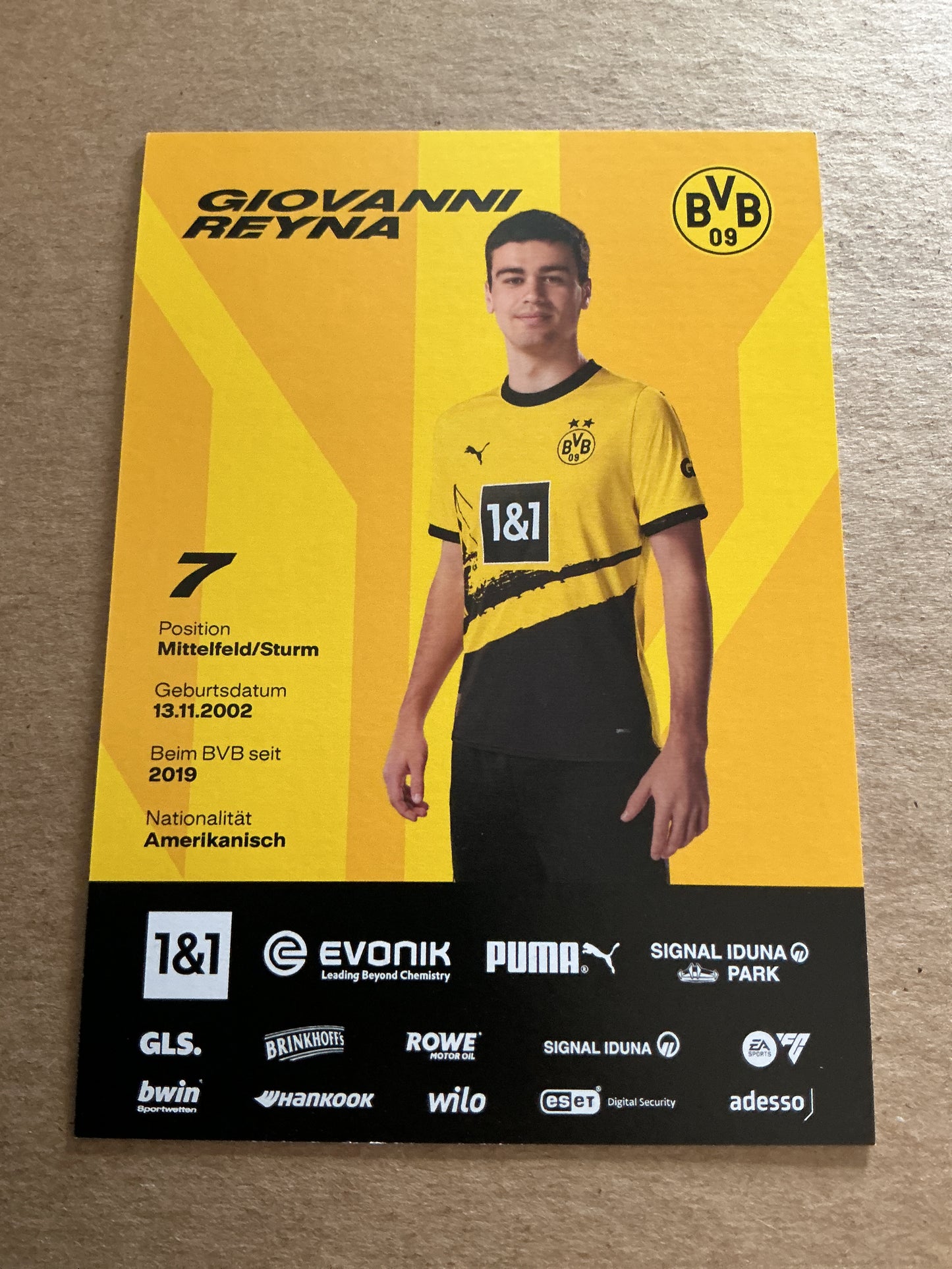 Giovanni Reyna, USA 🇺🇸 Borussia Dortmund 2023/24 hand signed