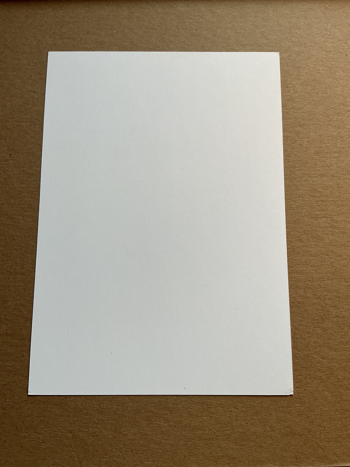 Saúl Ñíguez, Spain 🇪🇸 Atletico Madrid 2023/24 hand signed