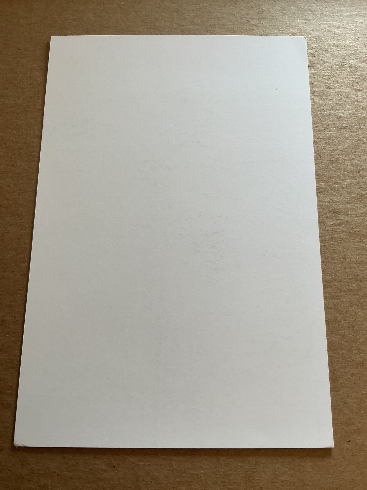 Natan, Brazil π§π· Real Betis 2024/25 hand signed
