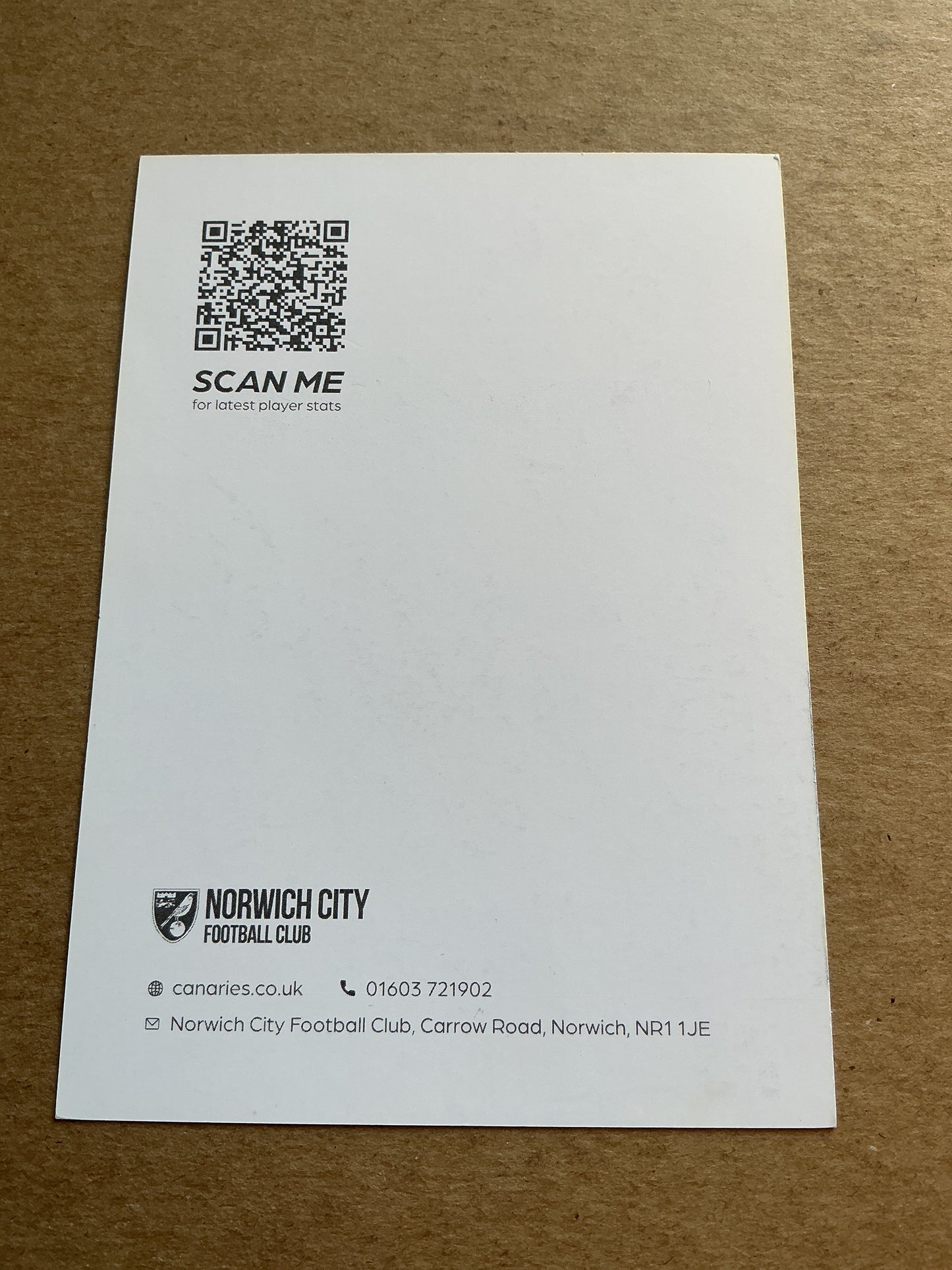 Billy Gilmour, Scotland 🏴 Norwich City FC 2021/22 hand signed