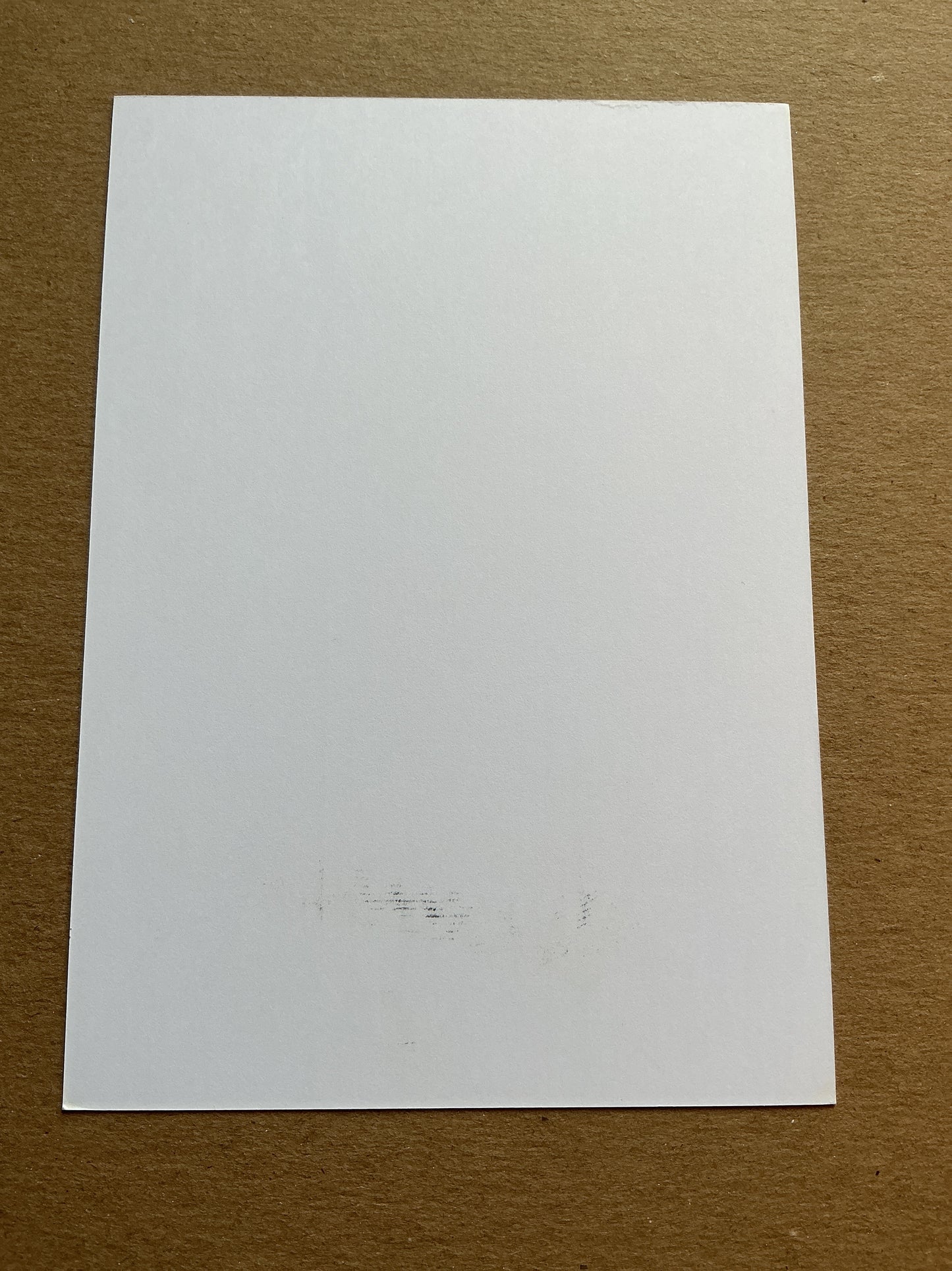 Roli Pereira de Sa, France π«π· FC Nantes 2019/20 hand signed