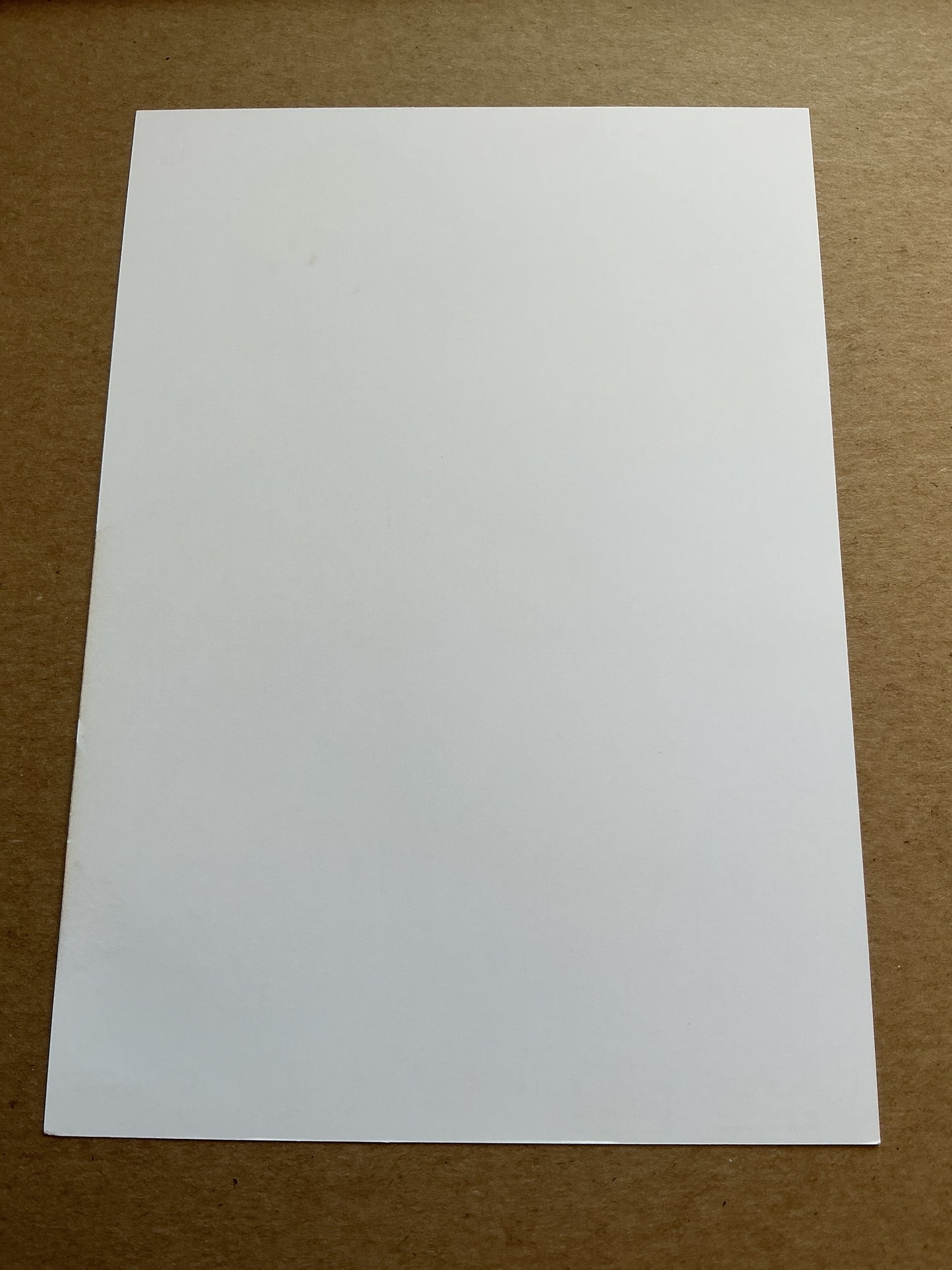 Ryota Morioka, Japan 🇯🇵 Sporting Charleroi 2023/24 hand signed