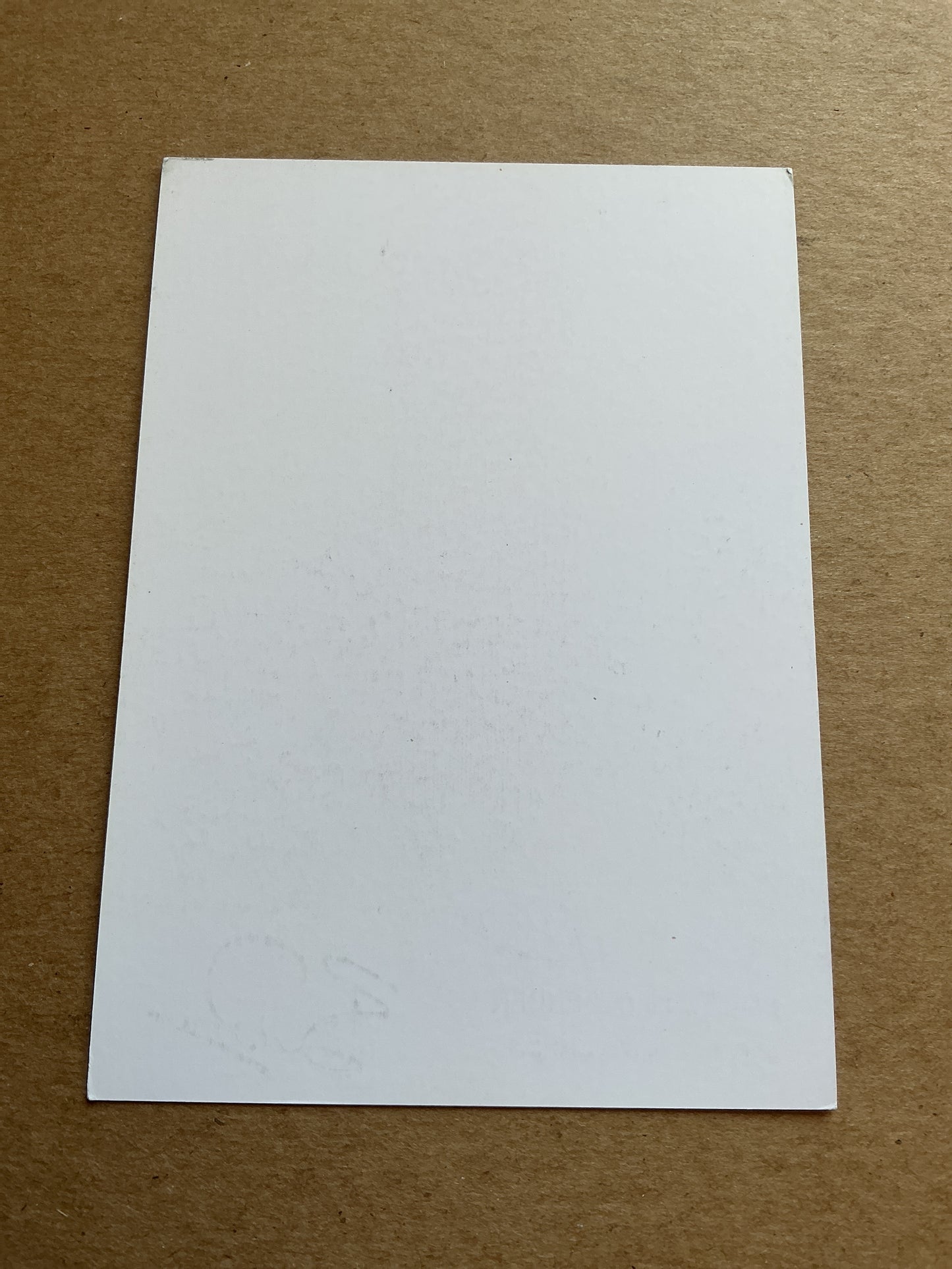 Ben Davies, Wales 🏴 Tottenham Hotspur 2018/19 hand signed