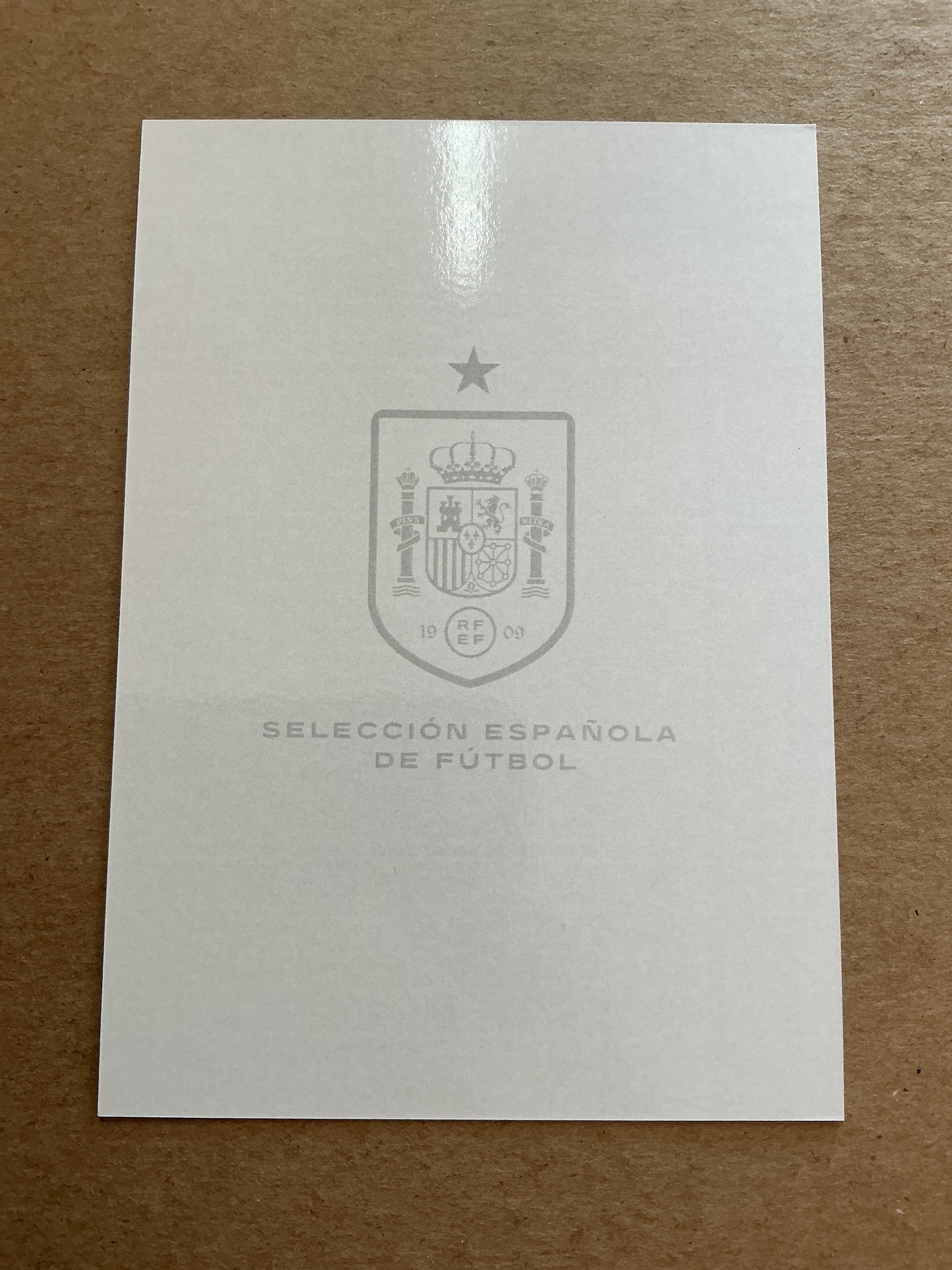 Luis de la Fuente, Spain 🇪🇸 UEFA Euro 2024 hand signed