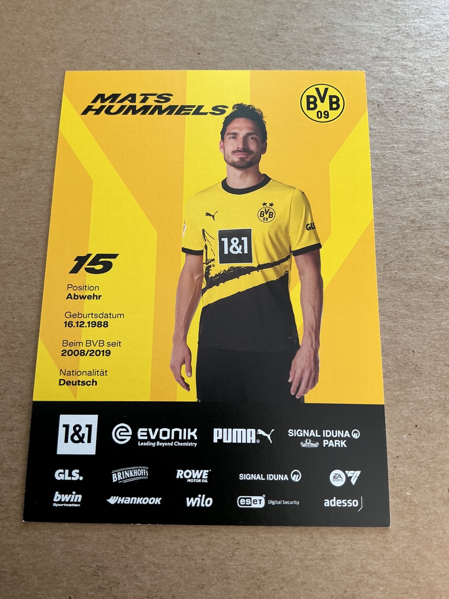 Mats Hummels, Germany 🇩🇪 Borussia Dortmund 2023/24 hand signed