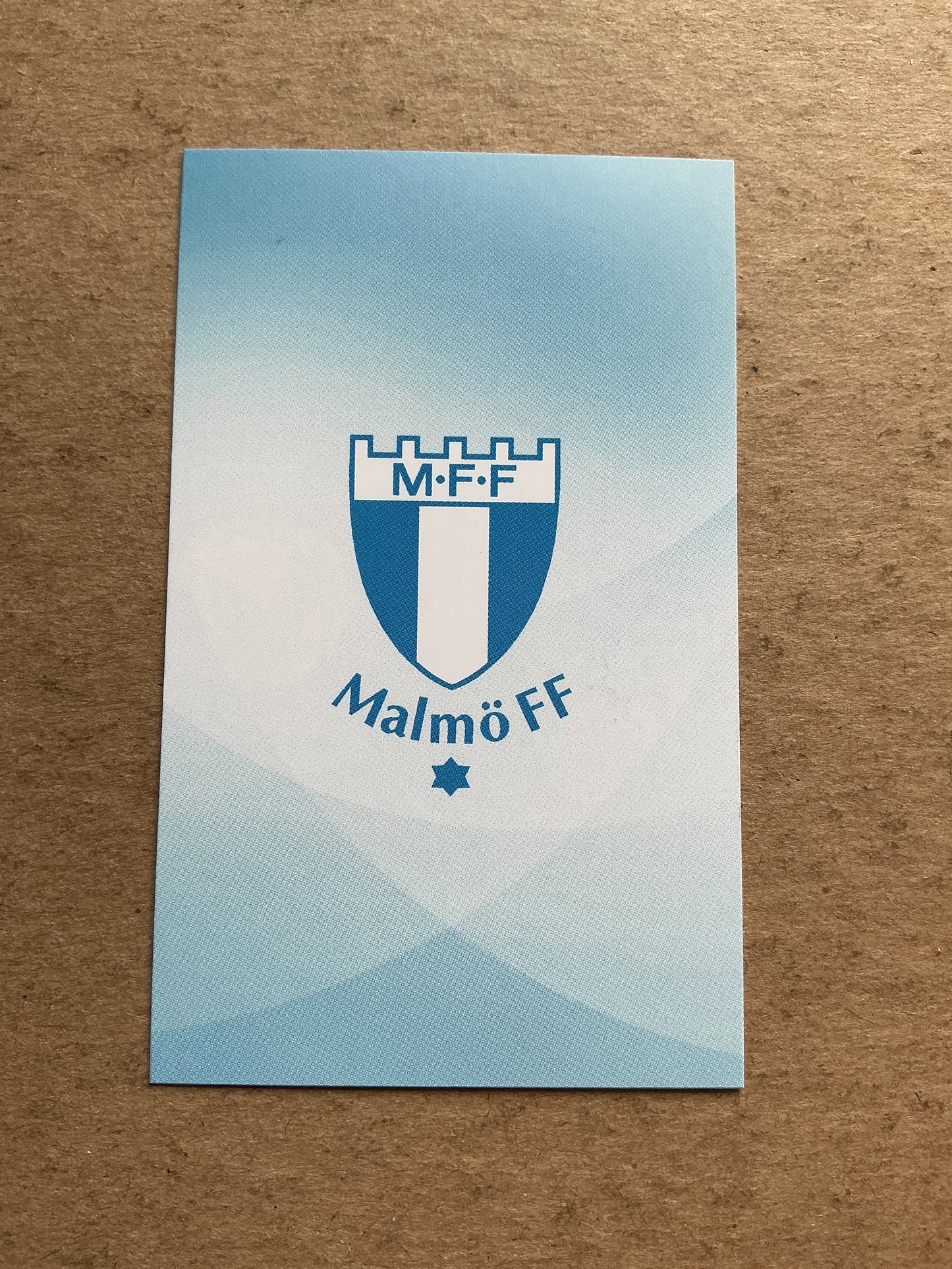 Eric Larsson, Sweden 🇸🇪 Malmö FF 2020/21 hand signed