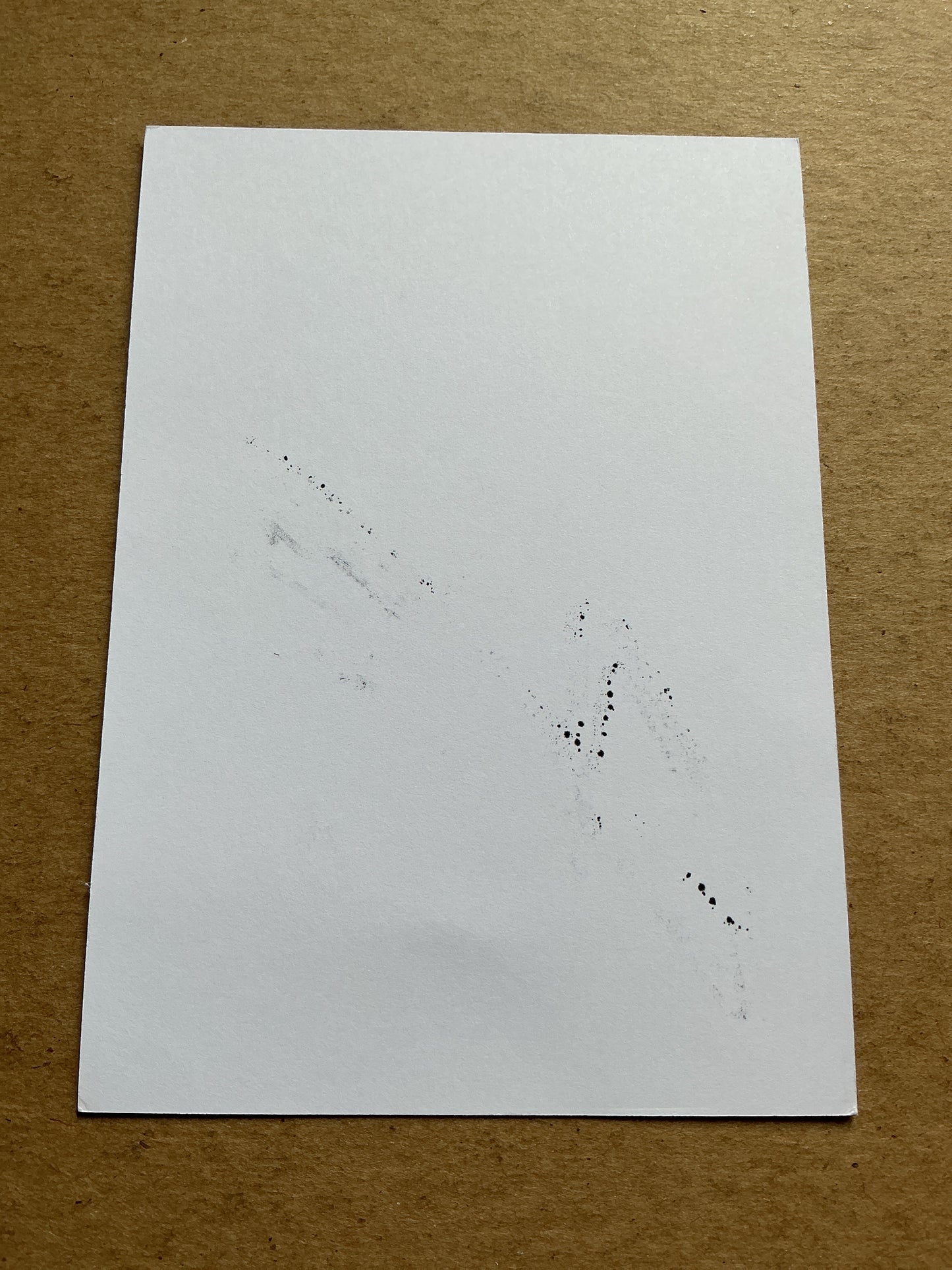 Felicio Brown Forbes, Costa Rica 🇨🇷 Wisła Kraków 2020/21 hand signed