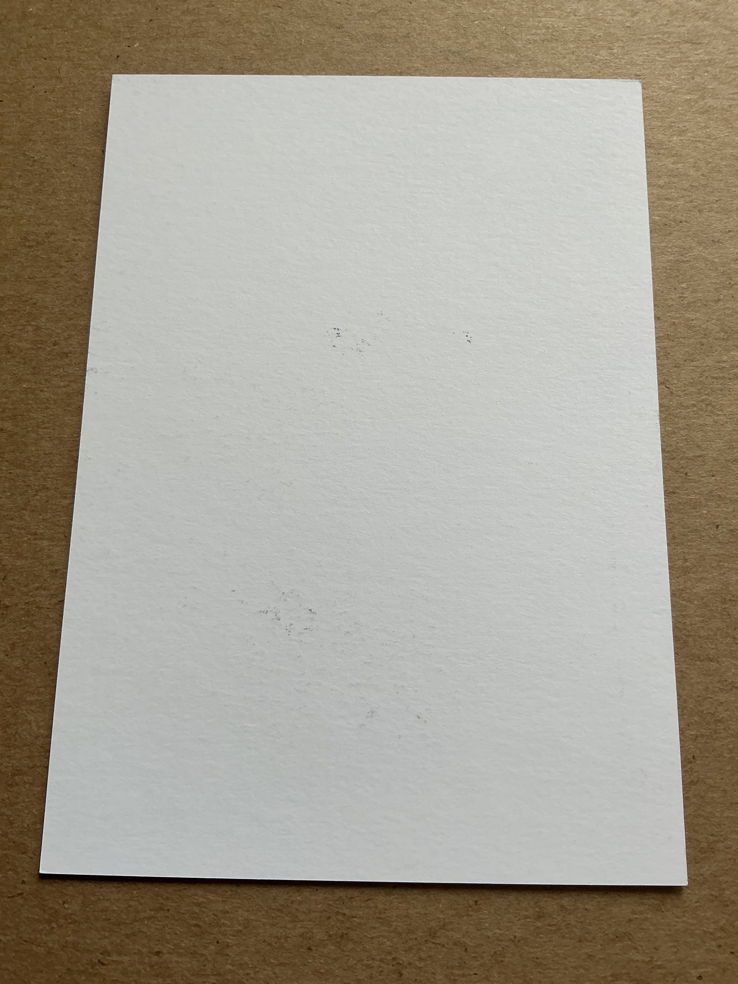Svenja Fölmli, Switzerland 🇨🇭 Women’s World Cup 2023 hand signed