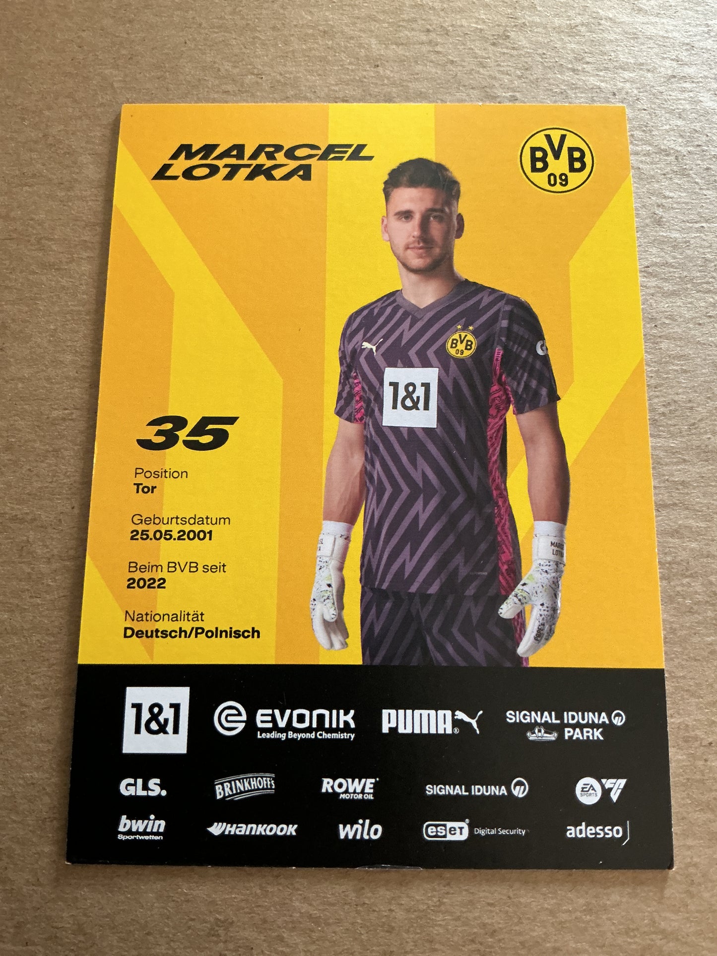 Marcel Lotka, Germany 🇩🇪 Borussia Dortmund 2023/24 hand signed