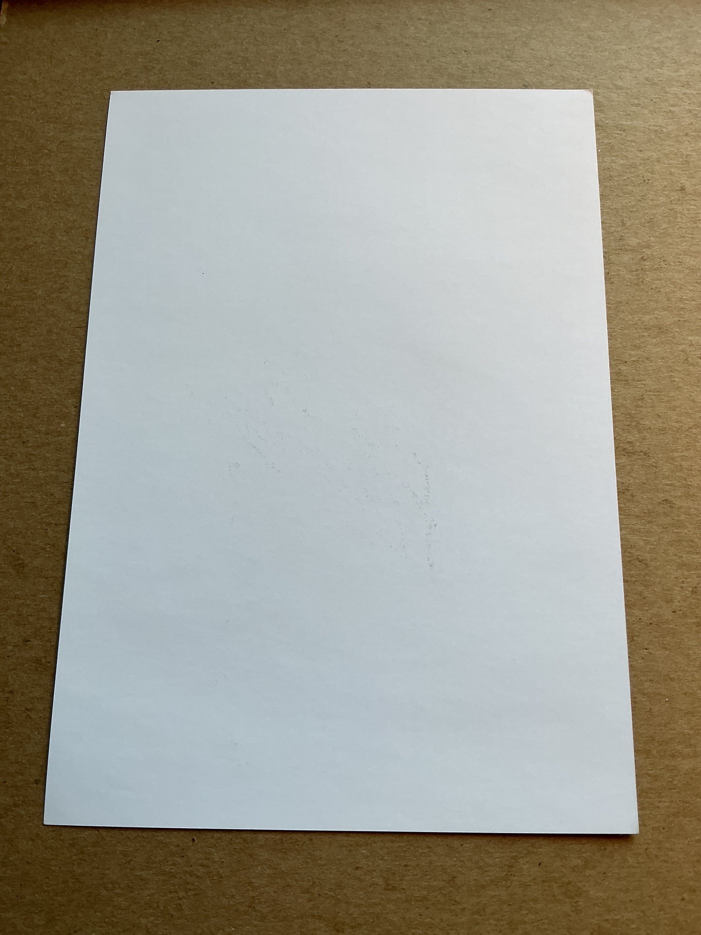 Frederik Børsting , Denmark 🇩🇰 Aalborg BK 2021/22 hand signed