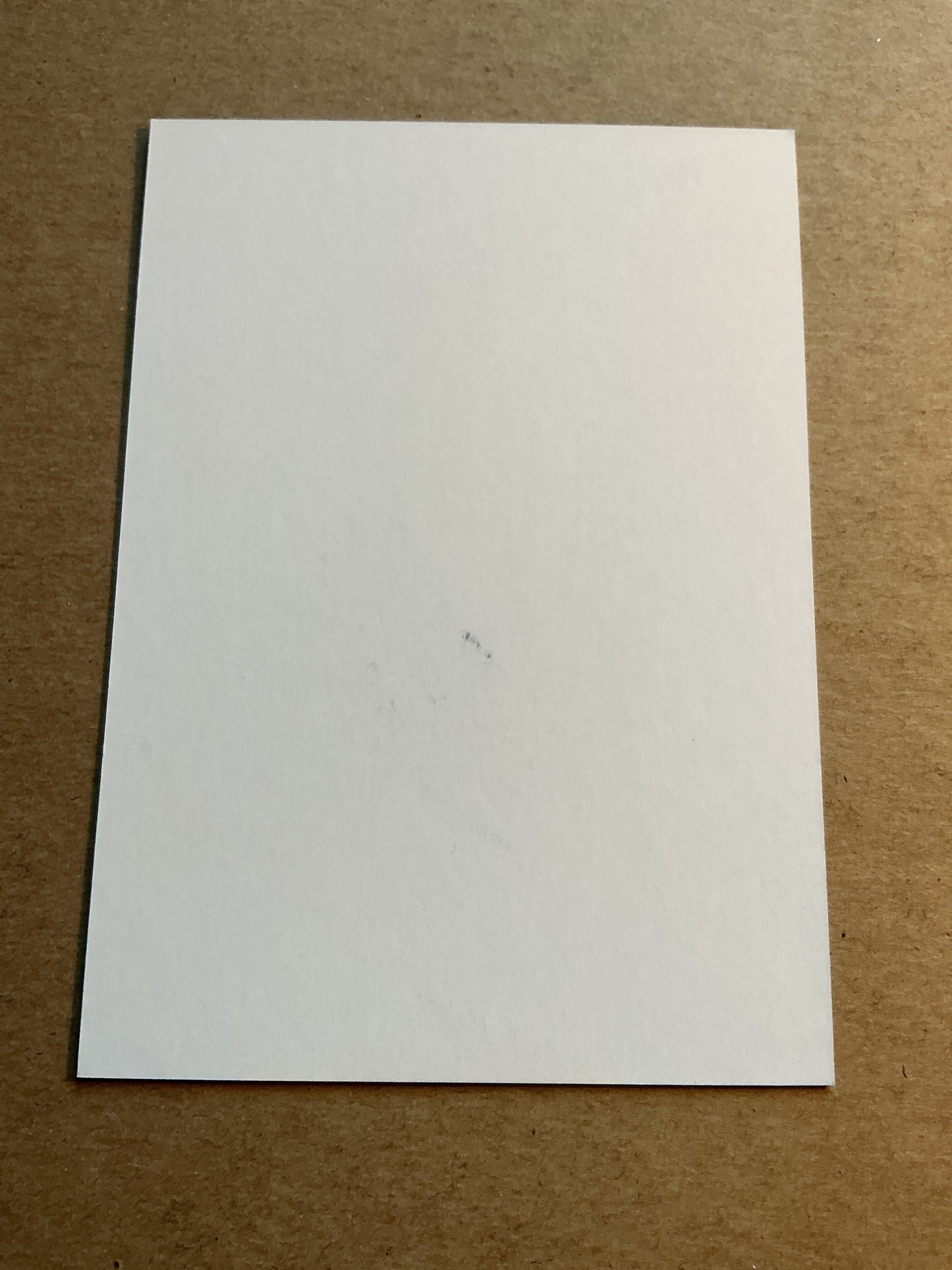 Martin Dubravka, Slovakia 🇸🇰 UEFA Euro Cup 2020 hand signed