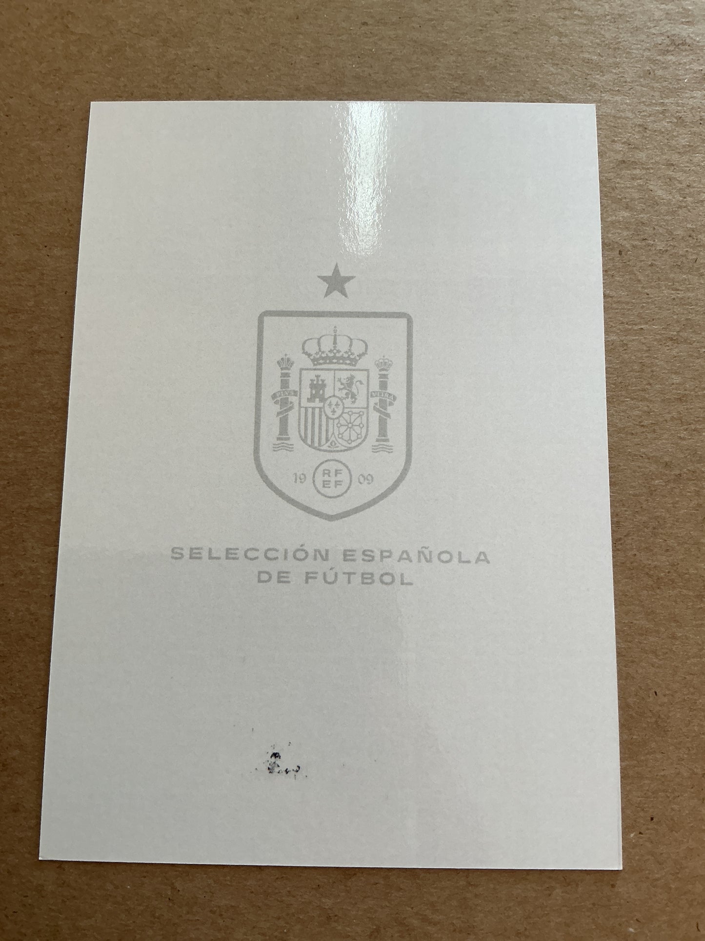 Luis de la Fuente, Spain 🇪🇸 UEFA Euro 2024 hand signed