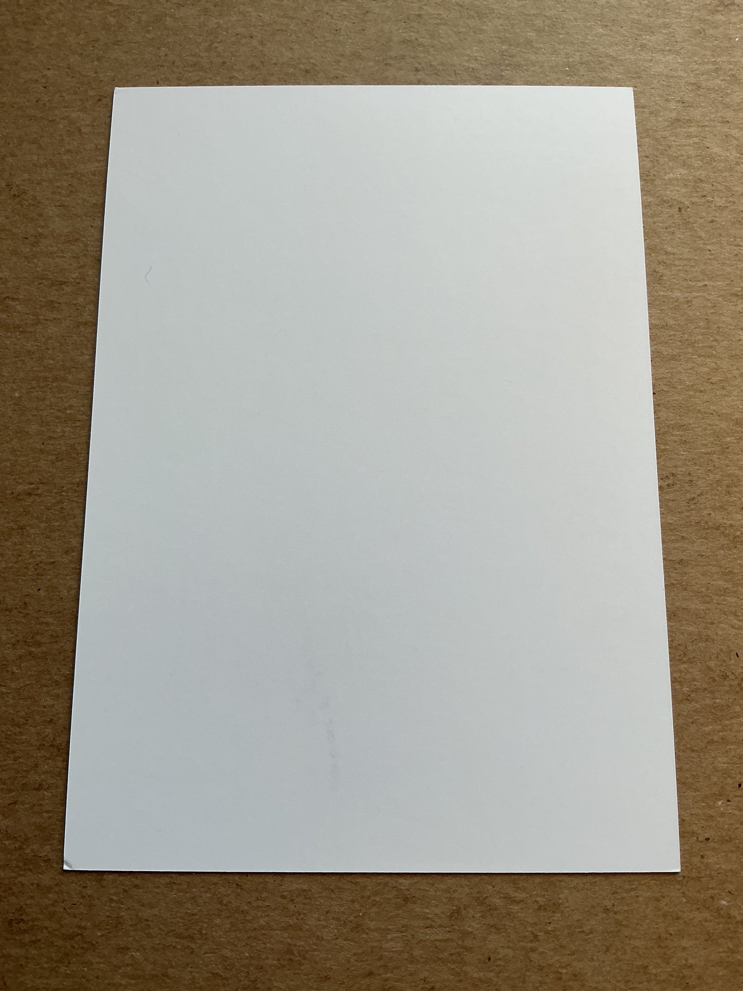 Max von der Groeben, Germany π©πͺ Actor 2025 hand signed