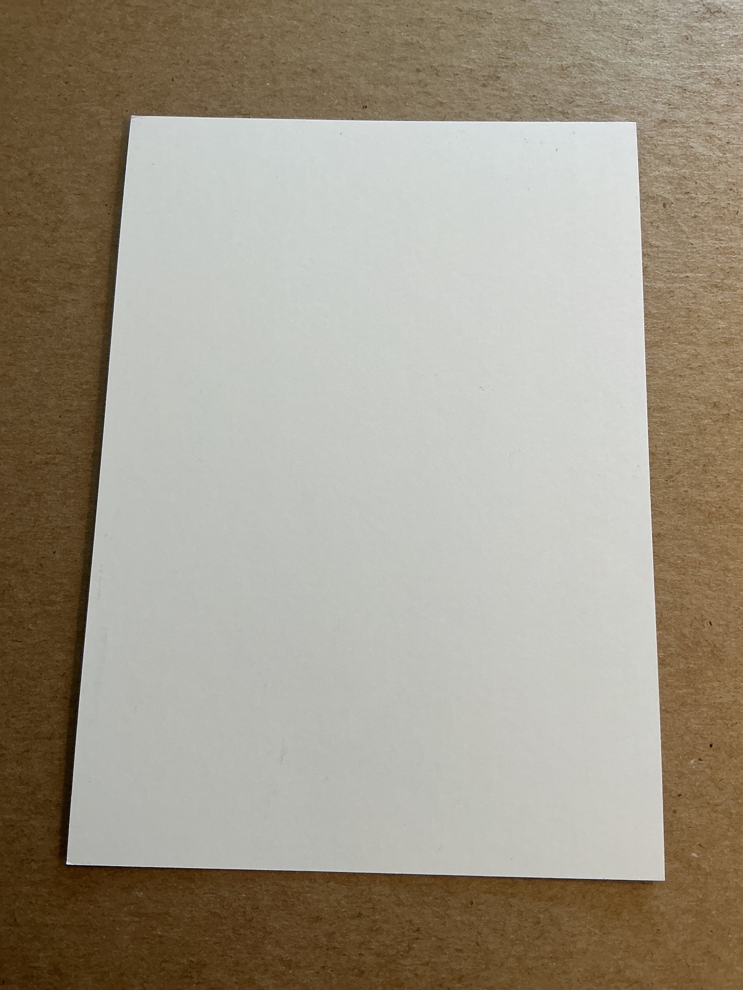 Birger Meling, Norway 🇳🇴 FC Copenhagen 2023/24 hand signed