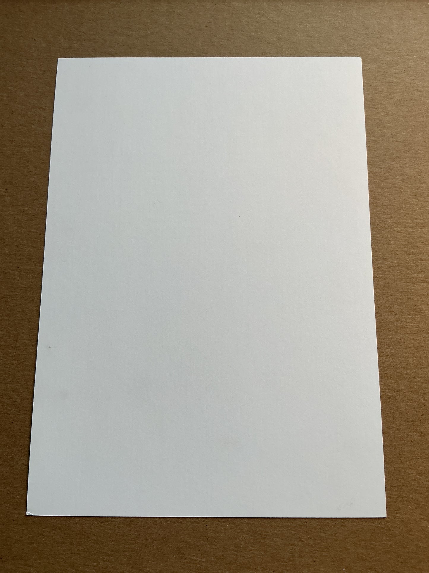 Diego Simeone, Argentina π¦π· Atletico Madrid 2023/24 hand signed