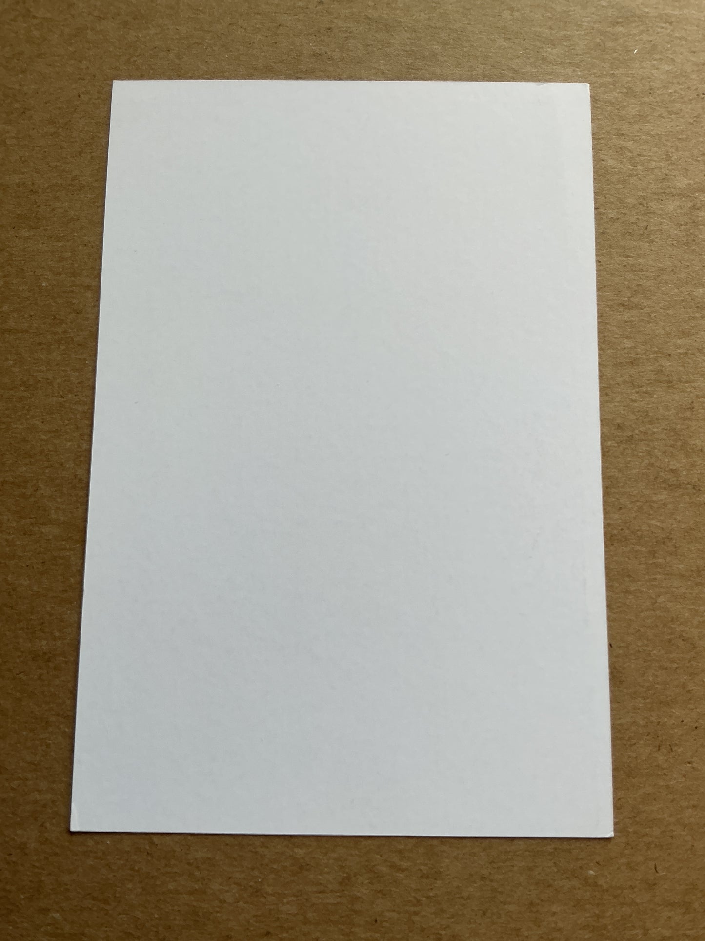 Tommaso Carazza, Italy 🇮🇹 Bologna FC 1909 2023/24 hand signed