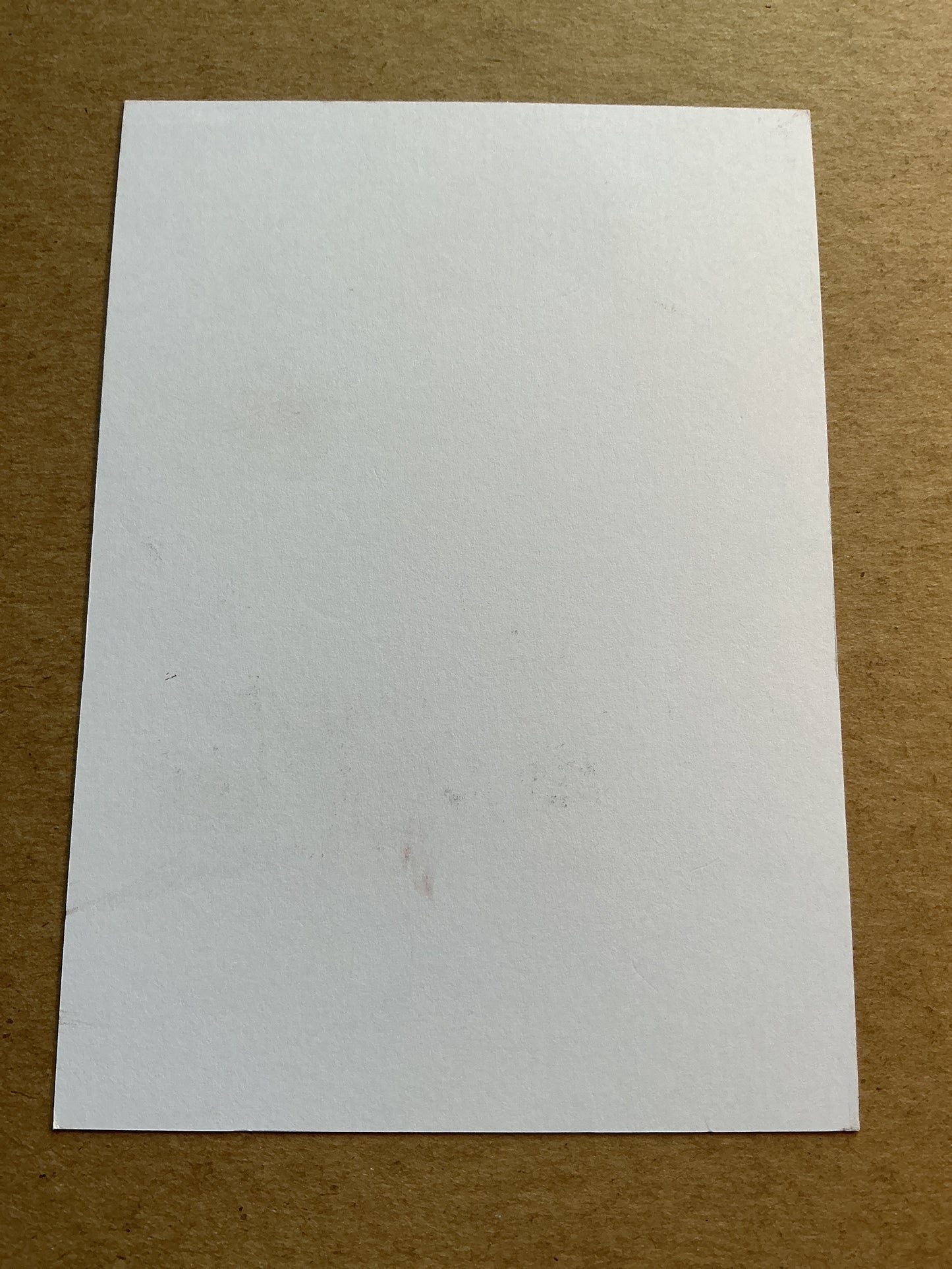 Nico Stucki, Switzerland π¨π FC Thun 2023/24 hand signed