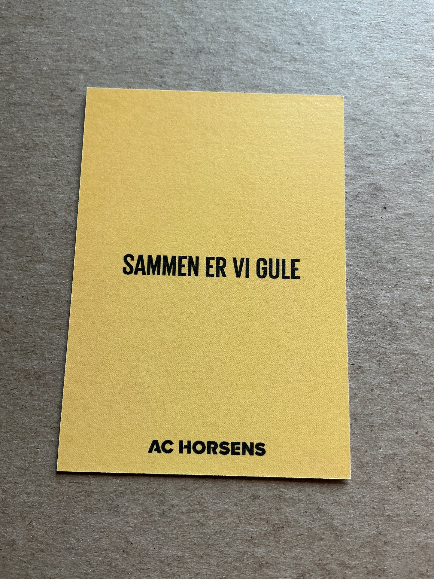 Samuel Brolin, Sweden 🇸🇪 AC Horsens 2022/23 hand signed