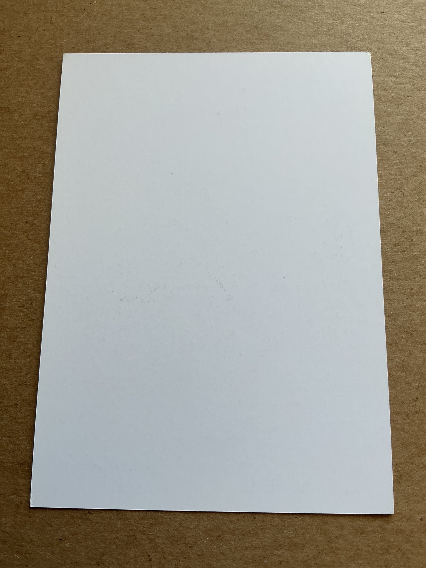 Jan Vertonghen, Belgium π§πͺ Tottenham Hotspur 2018/19 hand signed