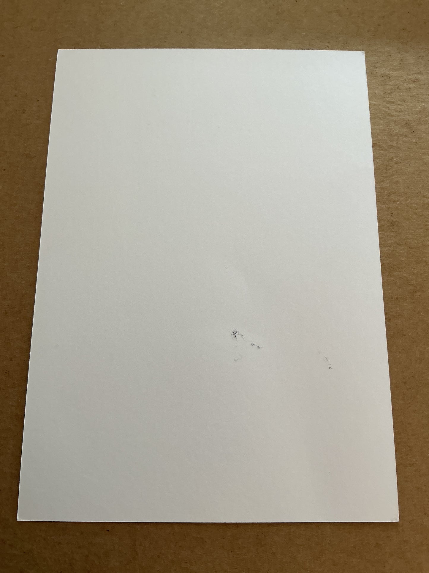 Winston Reid, New Zealand 🇳🇿 West Ham United 2018/19 hand signed