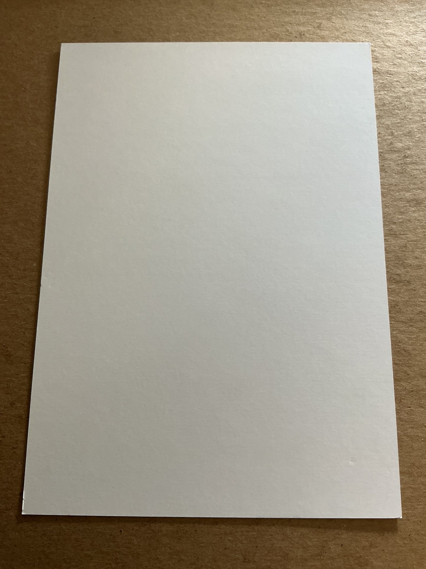 Kasper Høgh, Denmark 🇩🇰 Aalborg BK 2022/23 hand signed