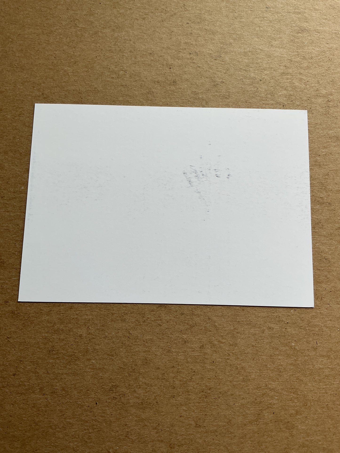 Steven Amiez, France 🇫🇷 Alpine Winter Sports 2024/25 hand signed