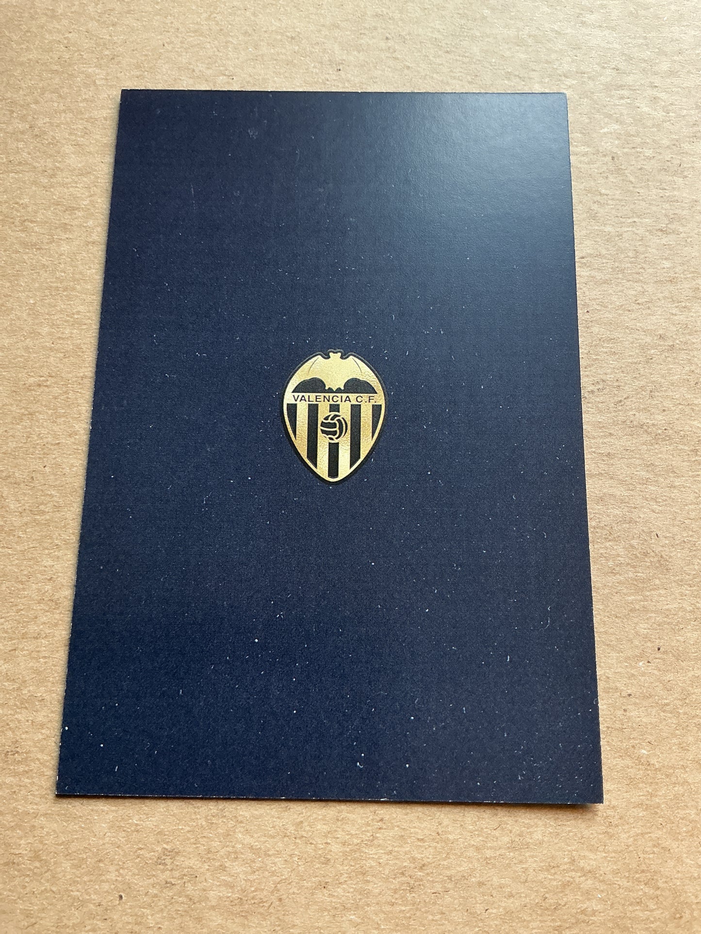 Jaume Domenech, Spain 🇪🇸 Valencia CF 2024/25 hand signed