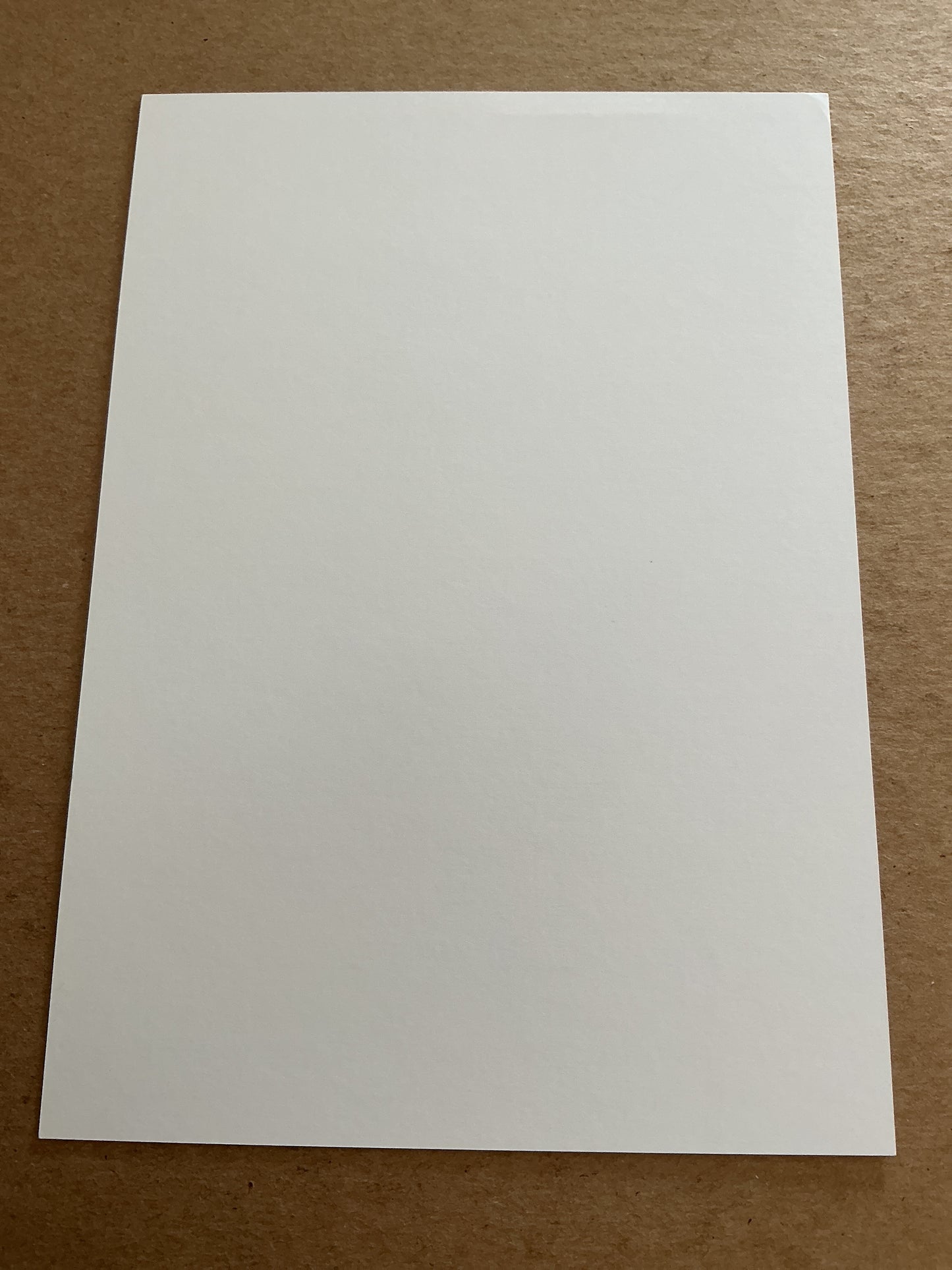 Theo Sander, Denmark 🇩🇰 Aalborg BK 2022/23 hand signed