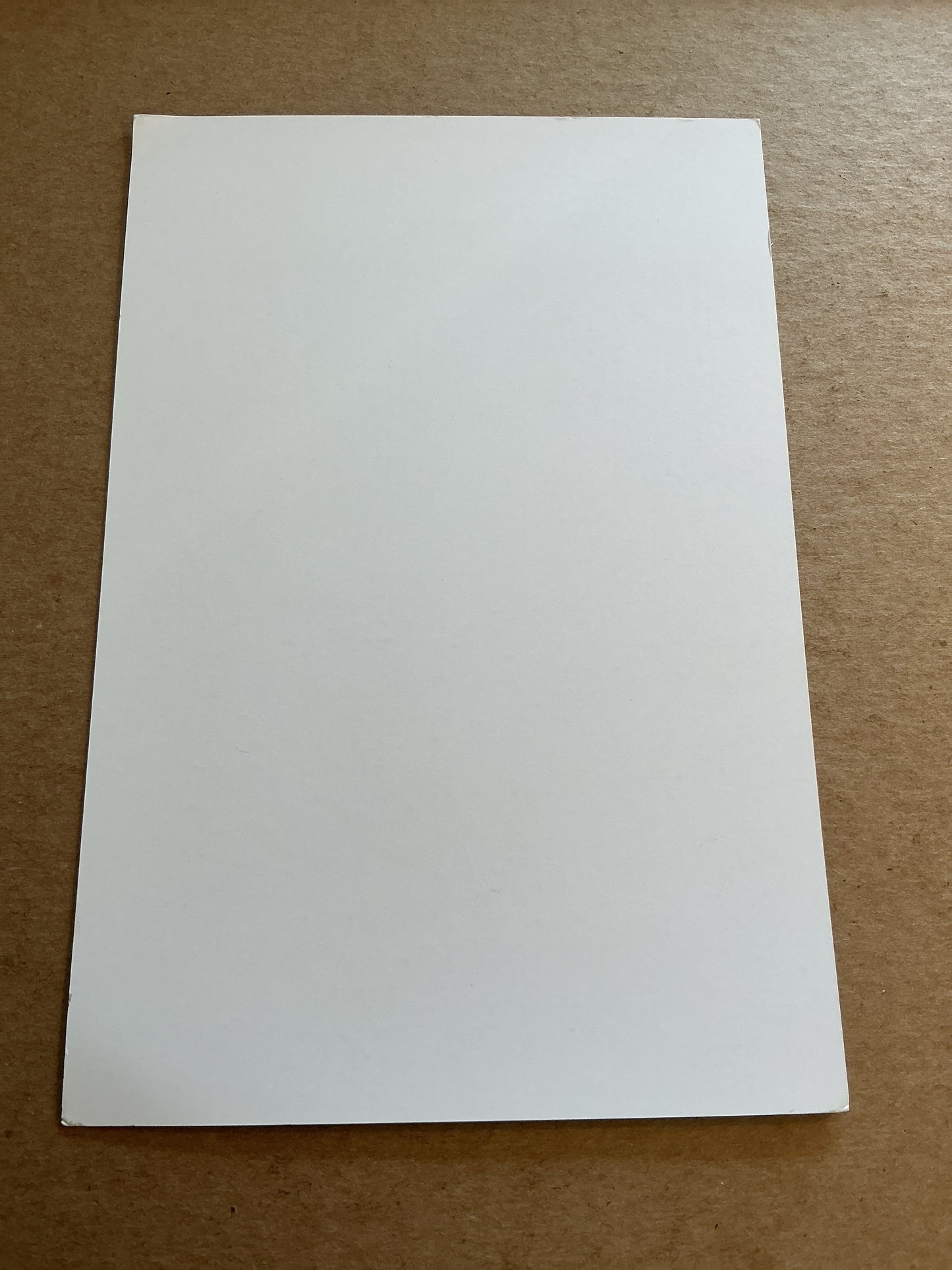 William Carvalho, Portugal 🇵🇹 Real Betis 2024/25 hand signed