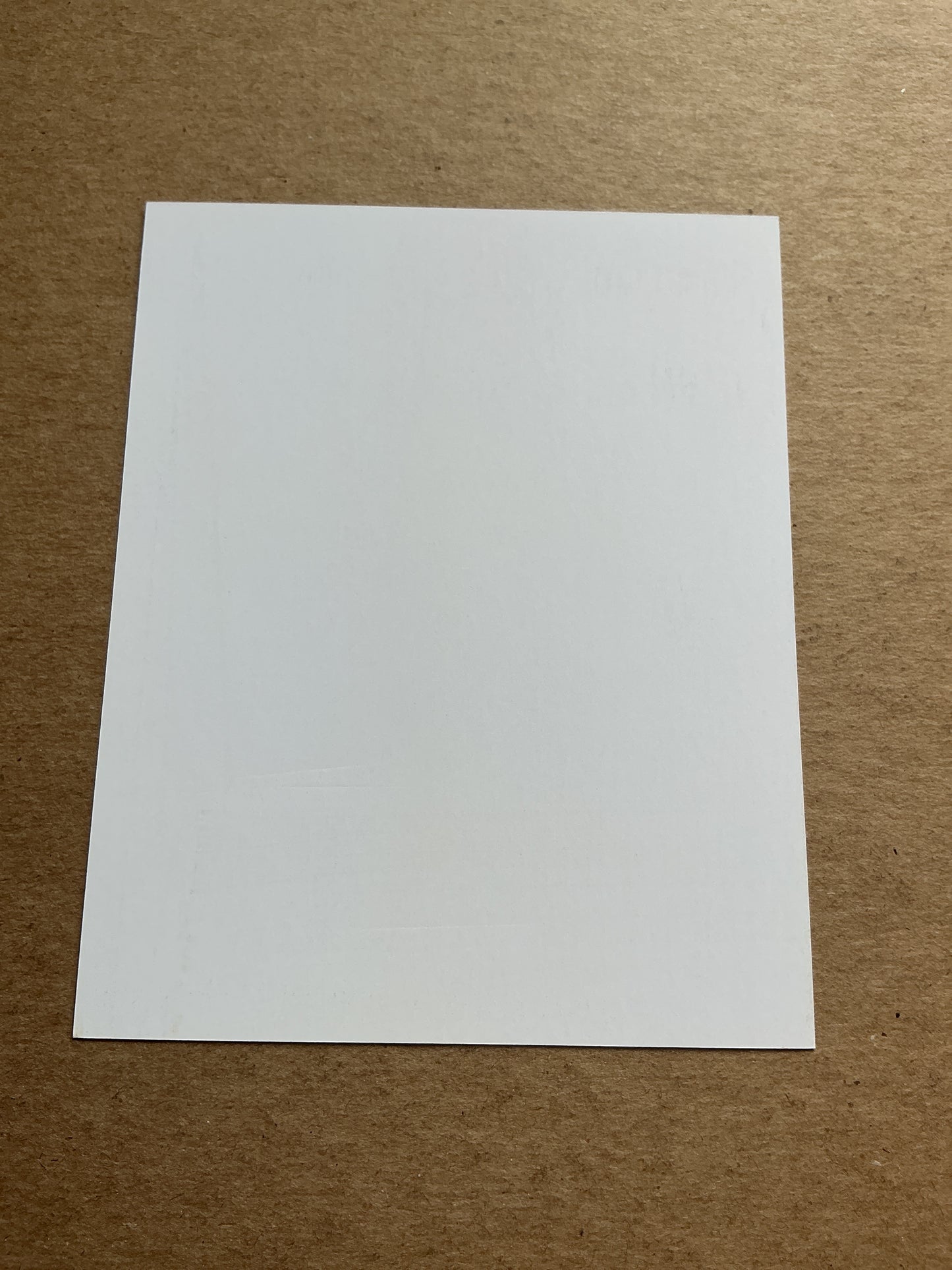 Selma Løvås, Norway 🇳🇴 Åsane 2024/25 hand signed