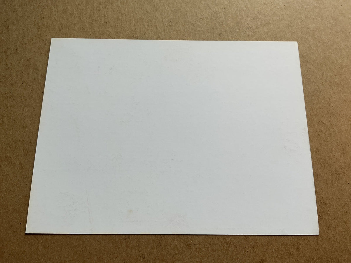 Marko Marin, Germany π©πͺ Red Star Belgrade 2019/20 hand signed - Autographs-World