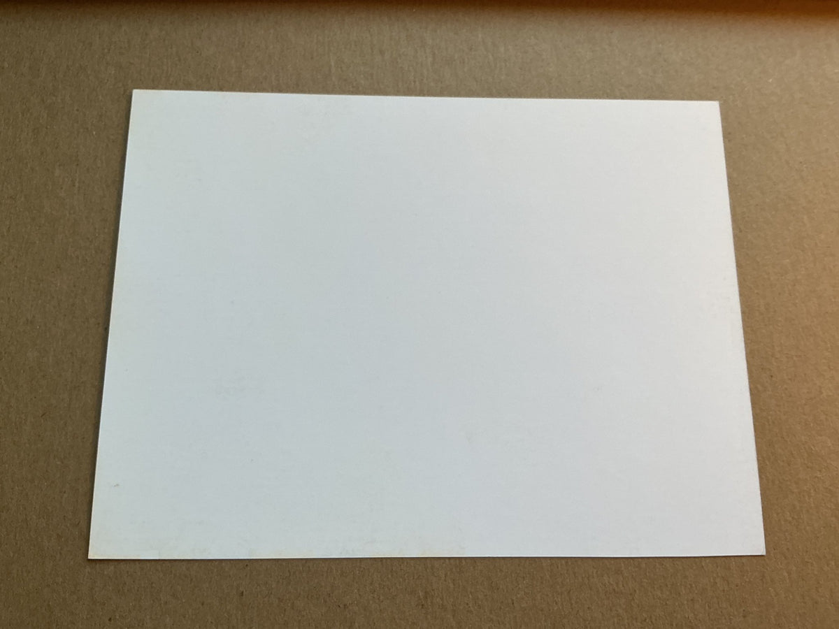 Milan Jevtović, Serbia 🇷🇸 Red Star Belgrade 2019/20 hand signed - Autographs-World