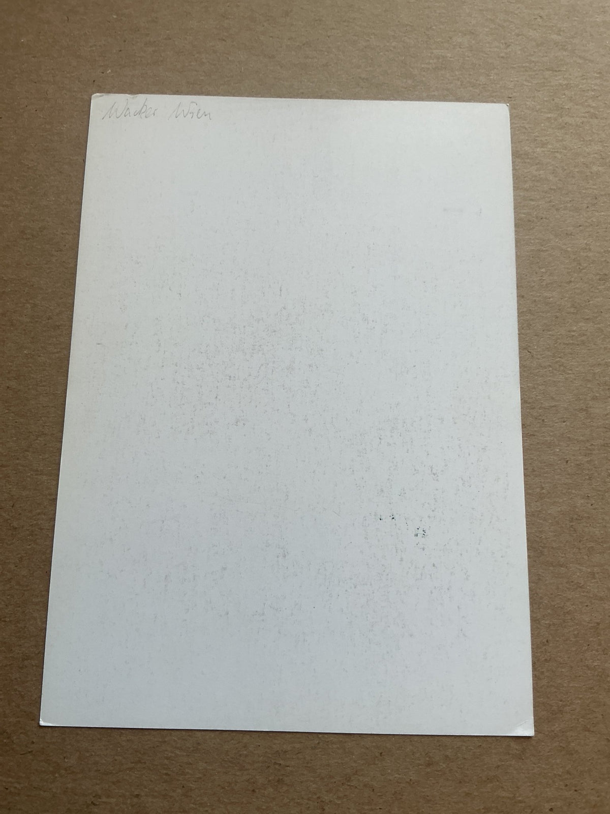 Peter Artner, Austria ๐ฆ๐น Admira Wacker 1992/93 hand signed - Autographs-World