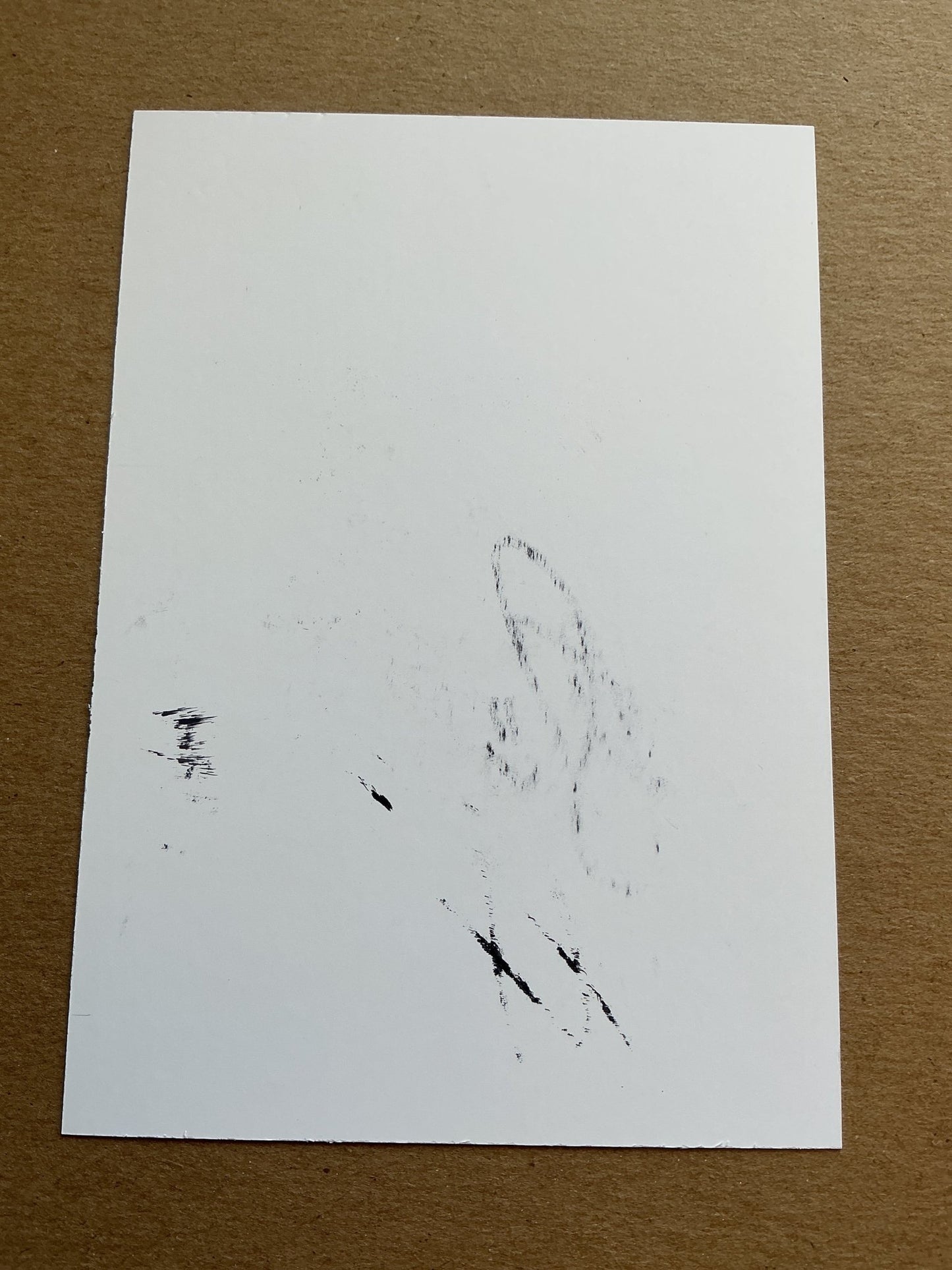 Robert Pich, Slovakia 🇸🇰 Śląsk Wrocław 2019/20 hand signed - Autographs-World